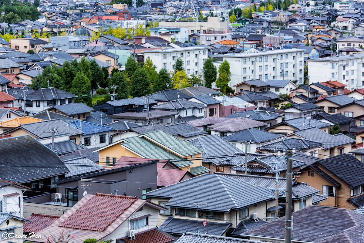 Dense residential neighborhood rooftops — the texture of a community built over decades