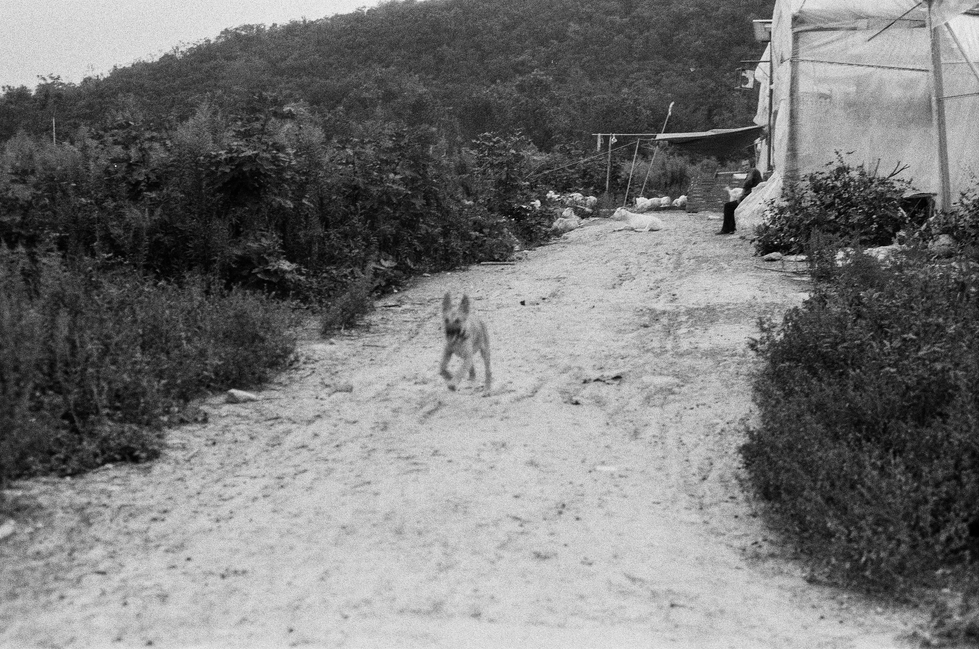 What Spinal Agility Looks Like