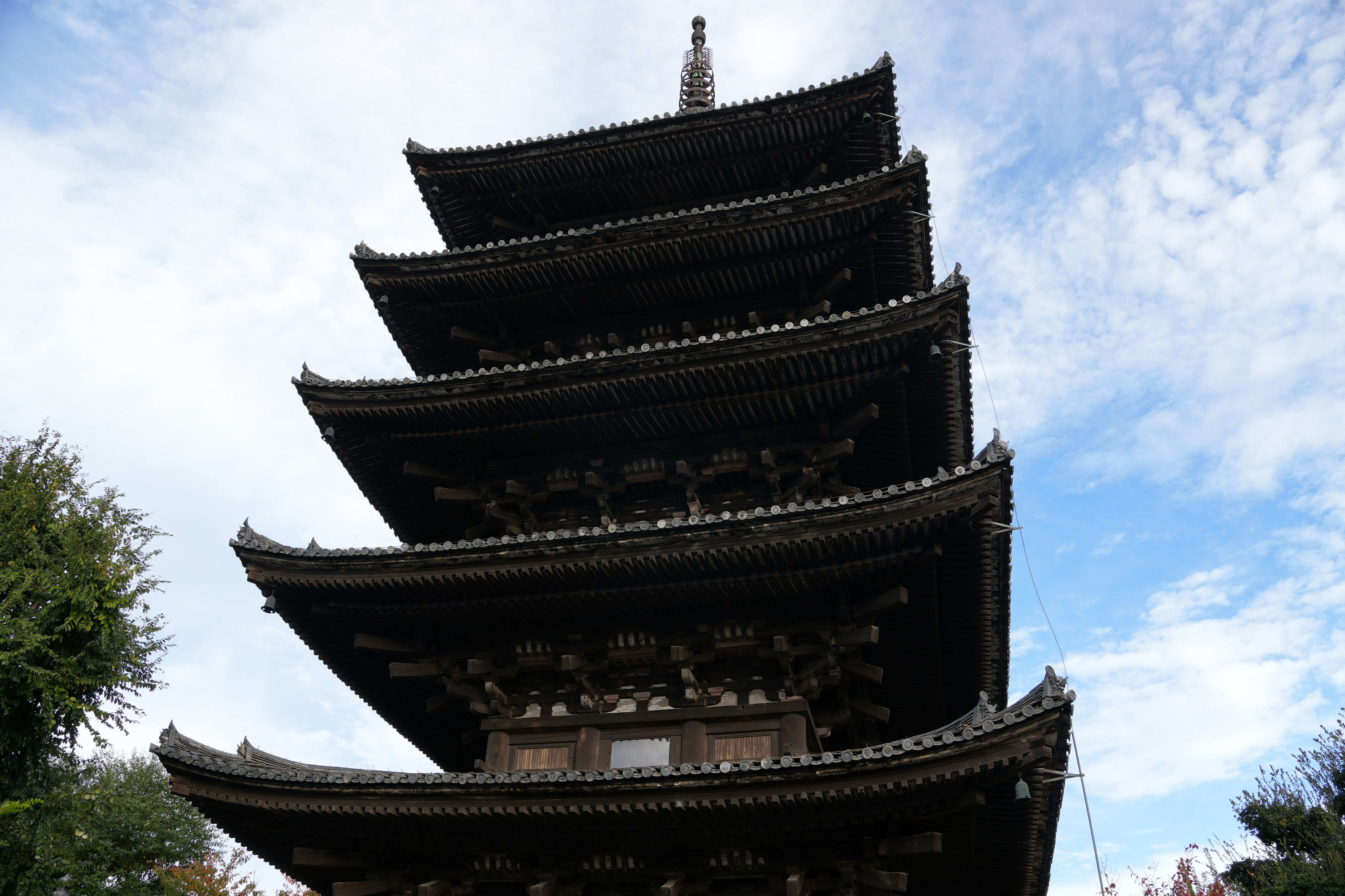 Photo by dm8ryphotos