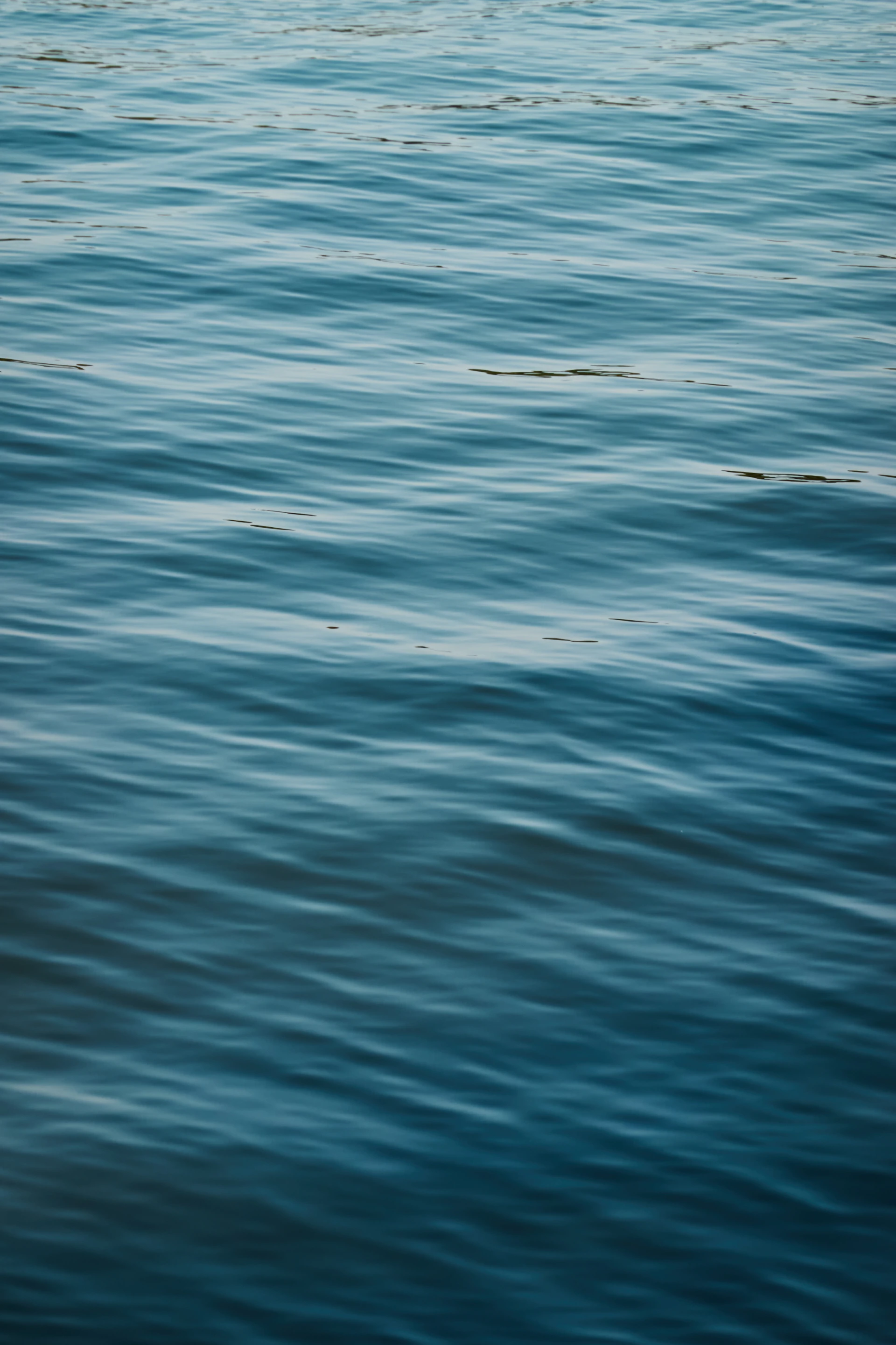 Rippling blue water surface with gentle waves.