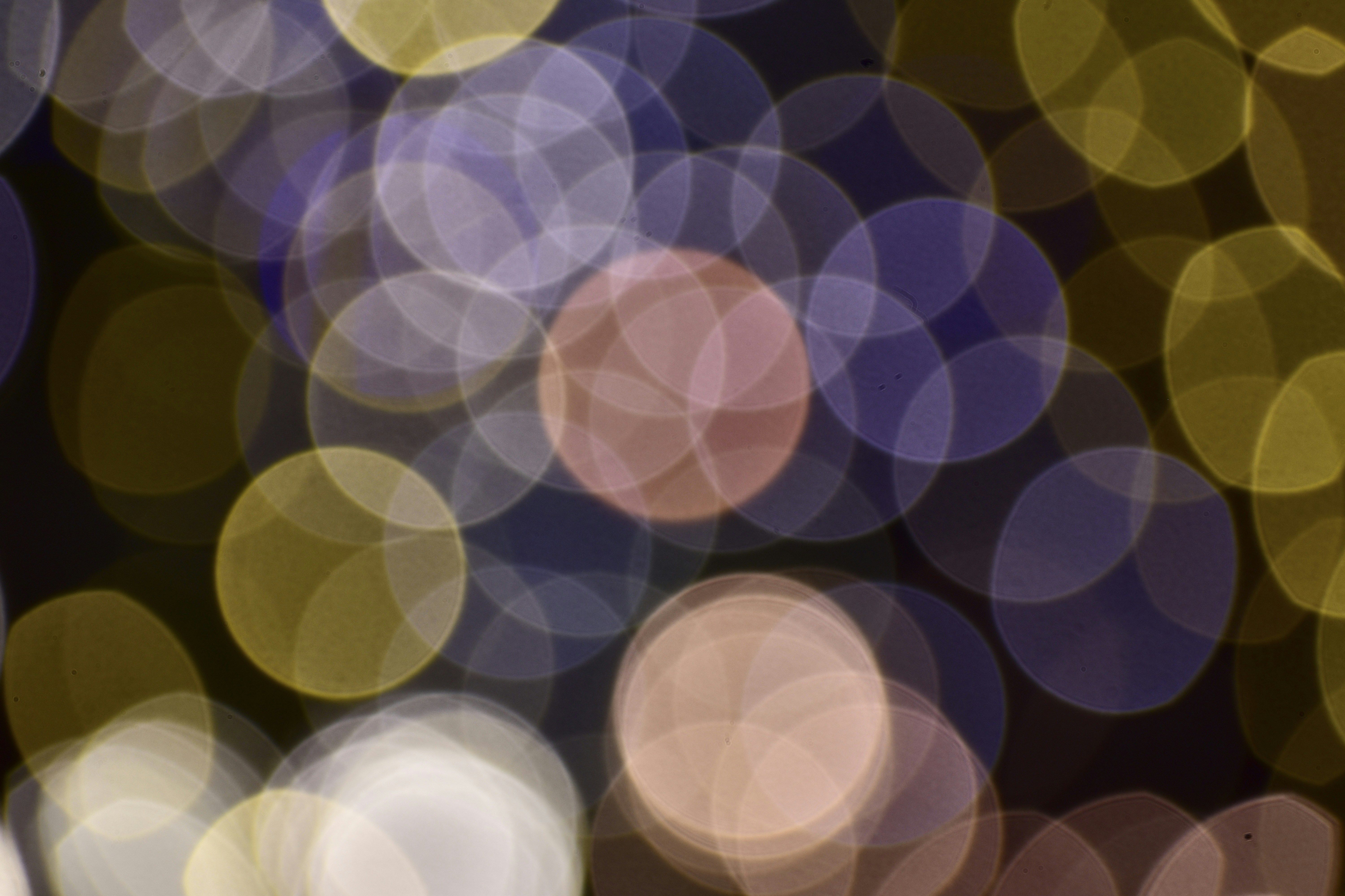 celebration wallpaper soft focus, wallpaper, Staying Present: Enjoying Life's Celebrations 1