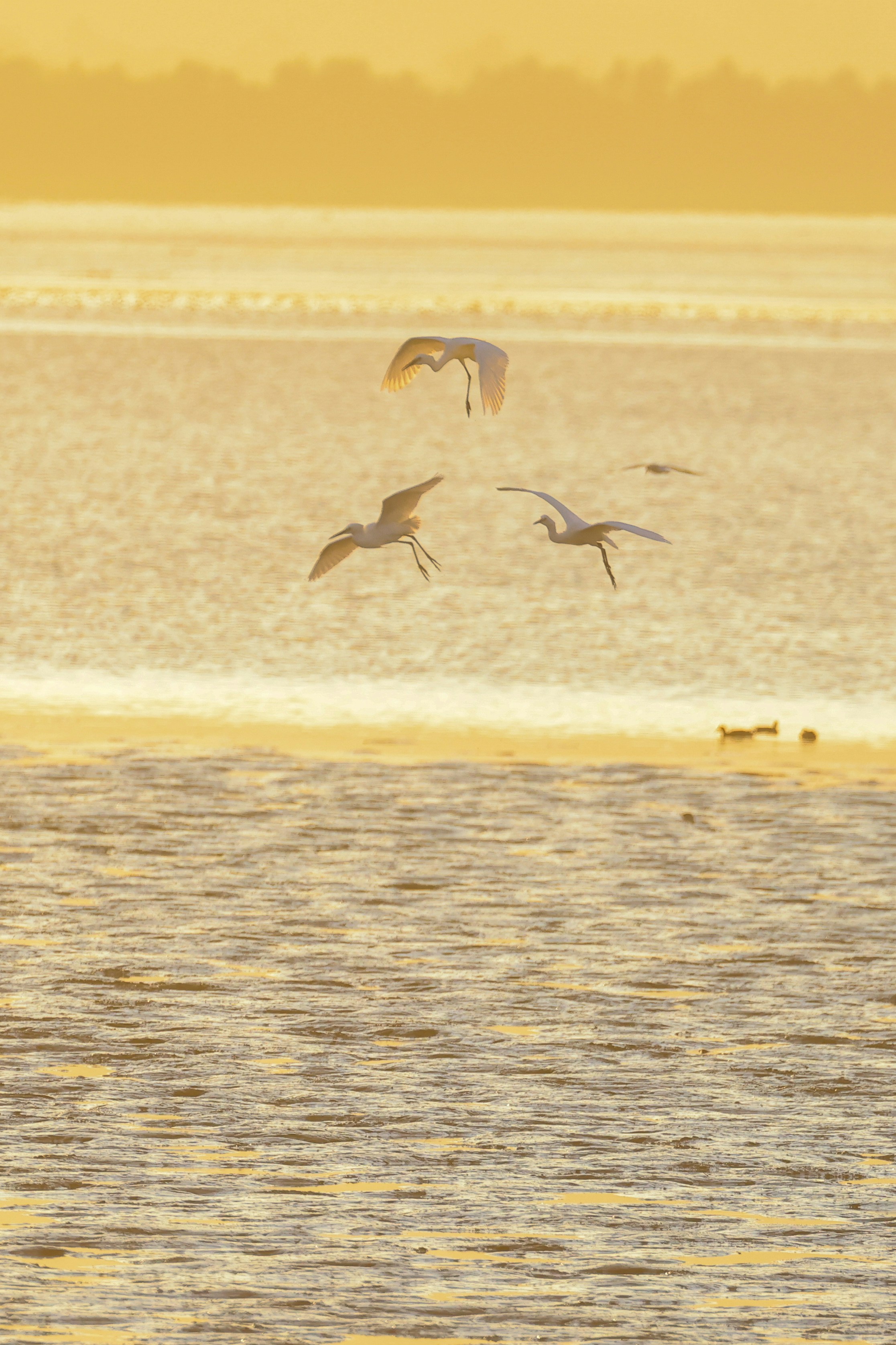 Photo by dickenslin76