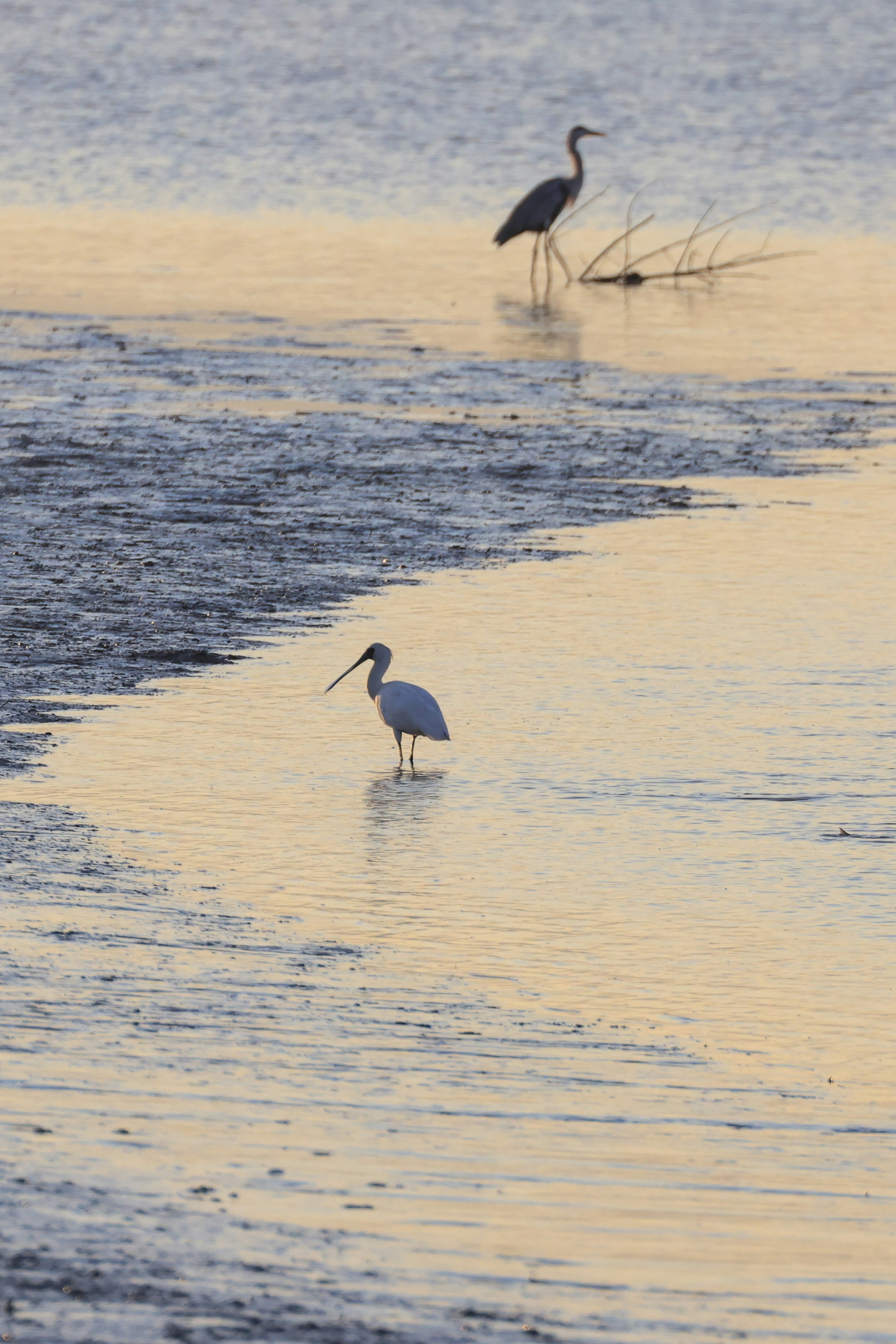 Photo by dickenslin76