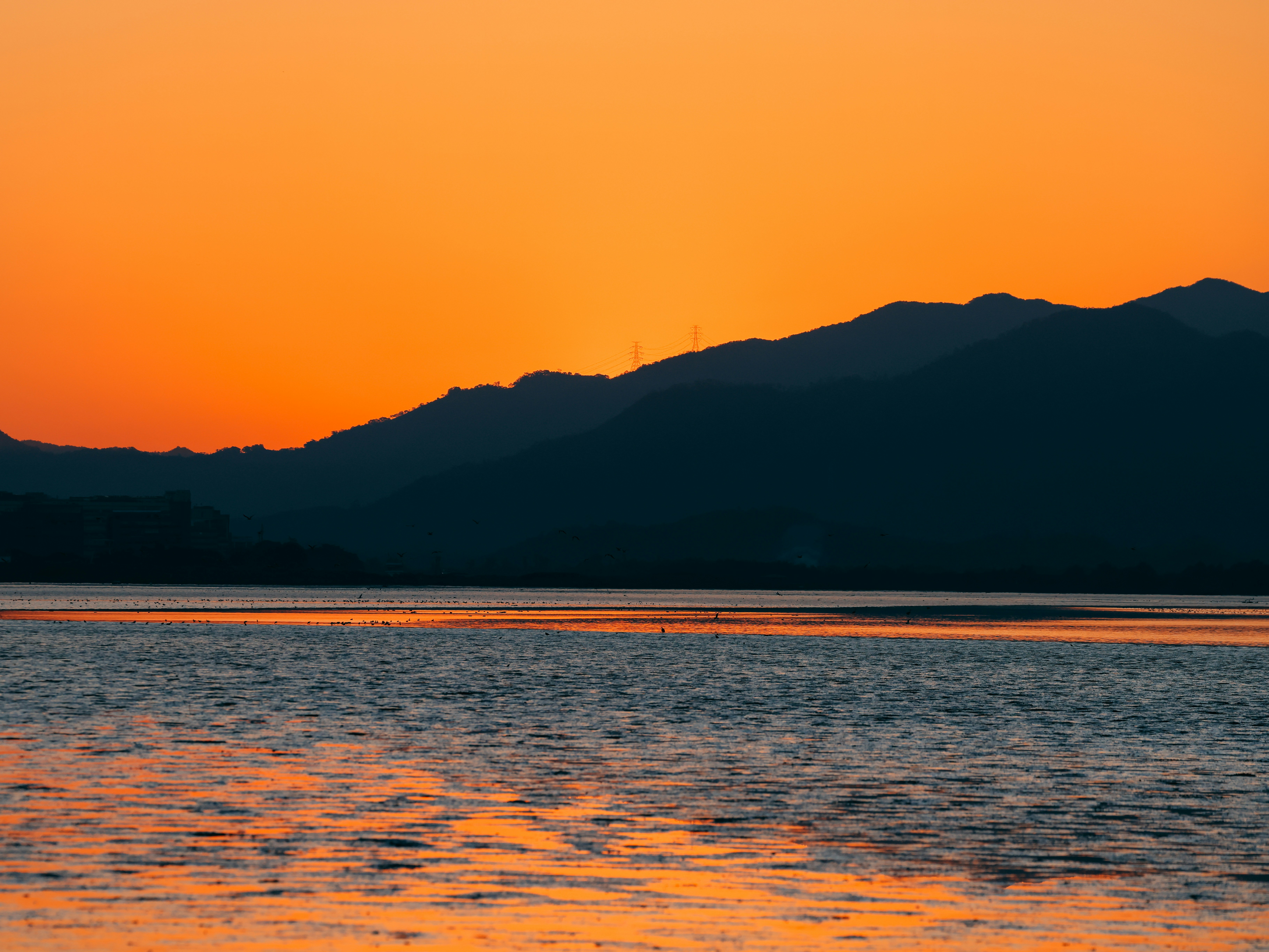 Photo by dickenslin76