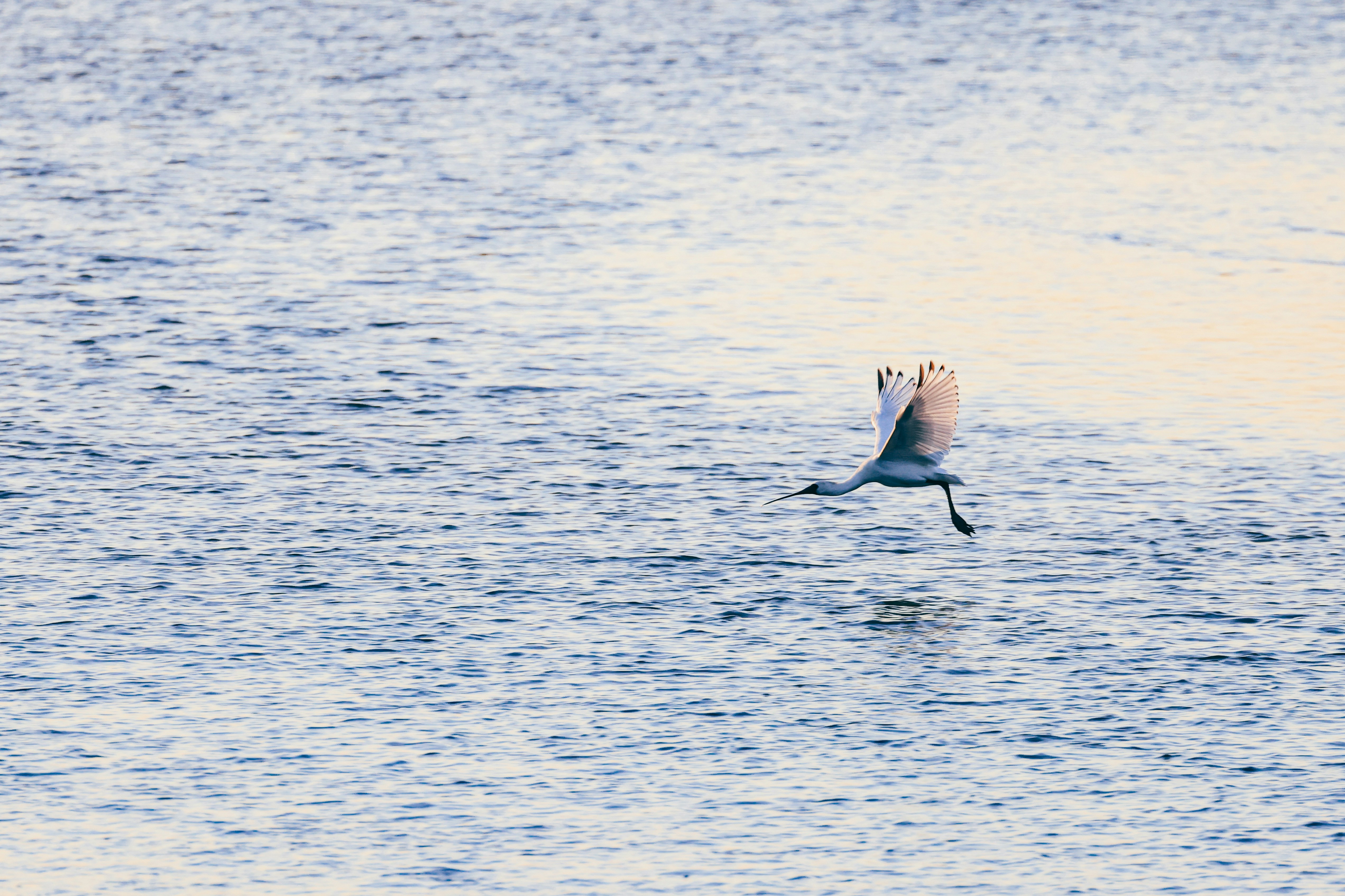 Photo by dickenslin76