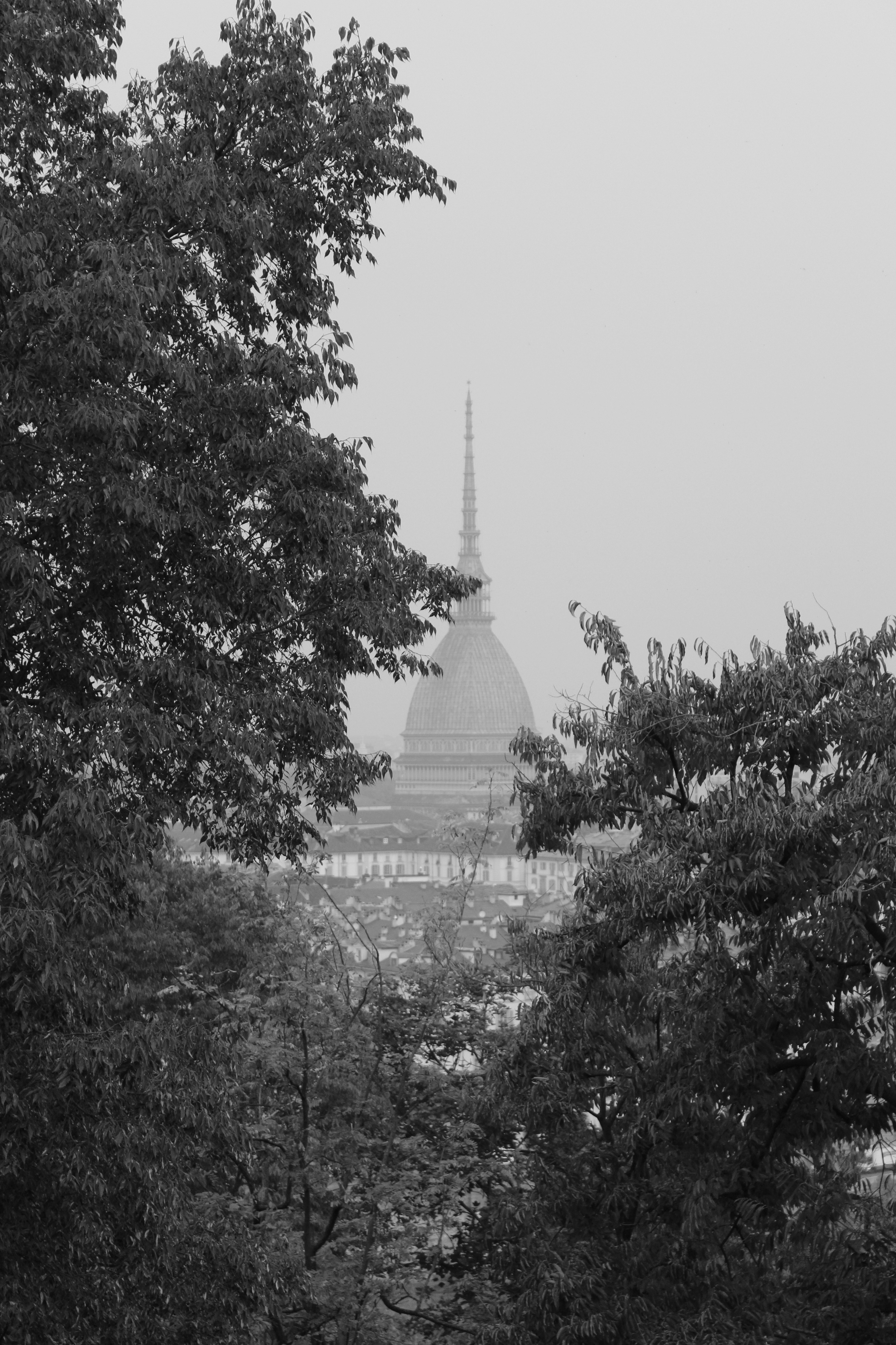 Mole antonelliana building seen through trees
