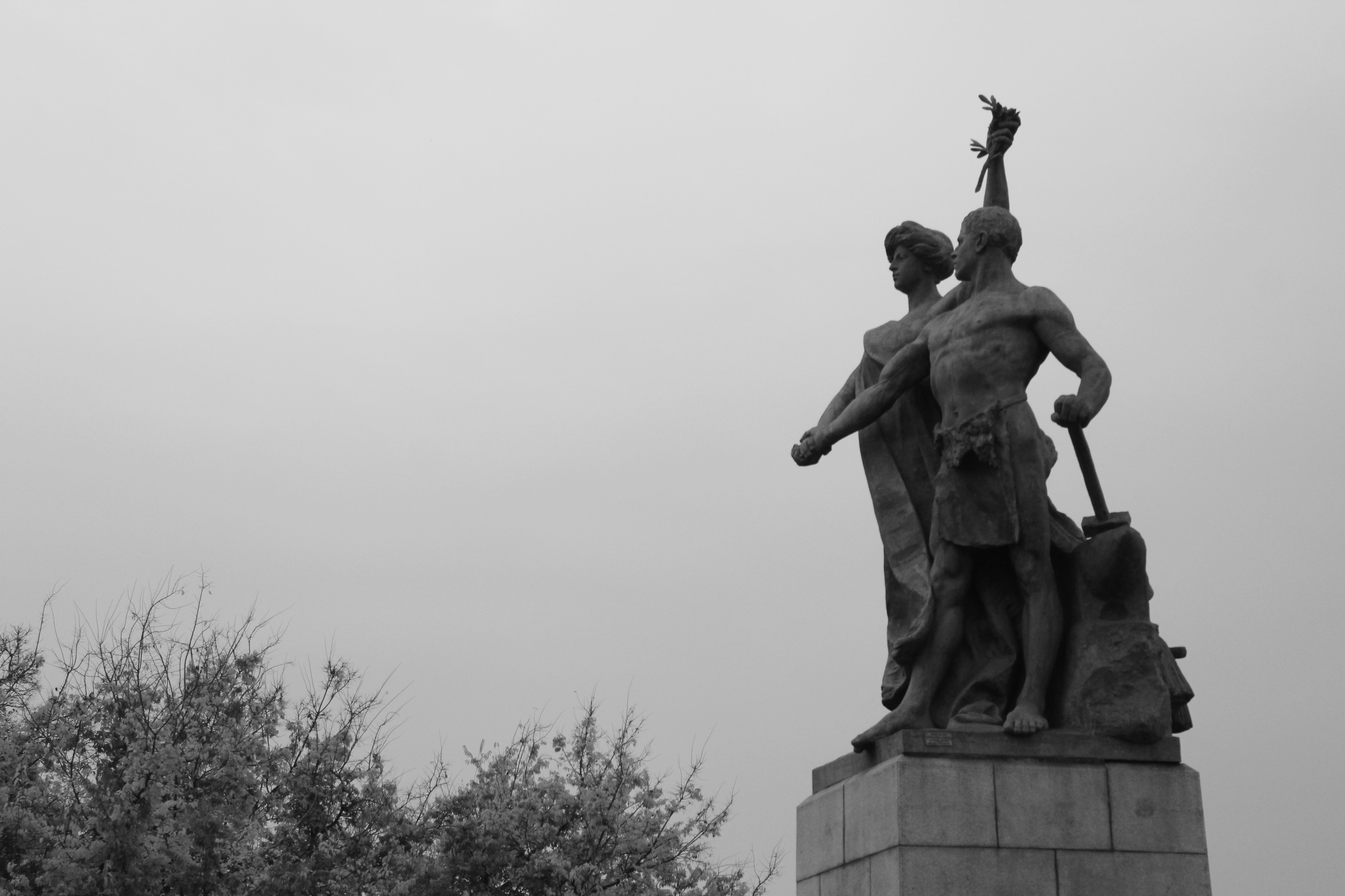 Photo by amirarsalan93