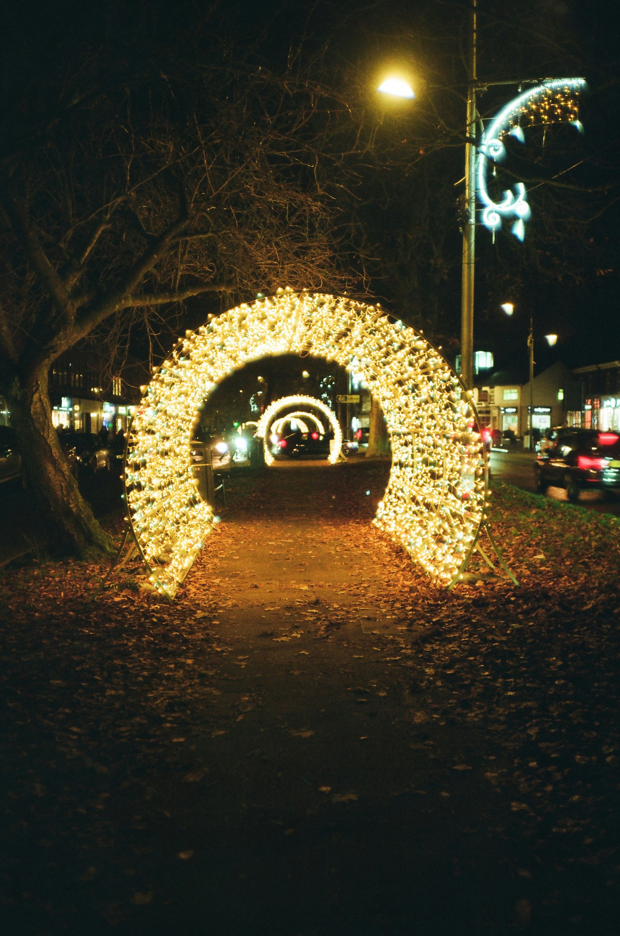 Photo by tanyabarrow