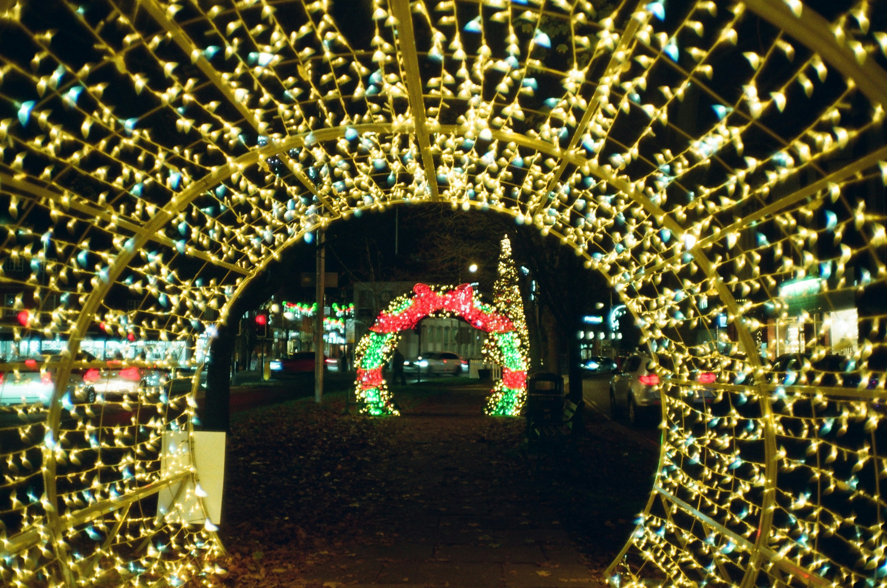 Photo by tanyabarrow