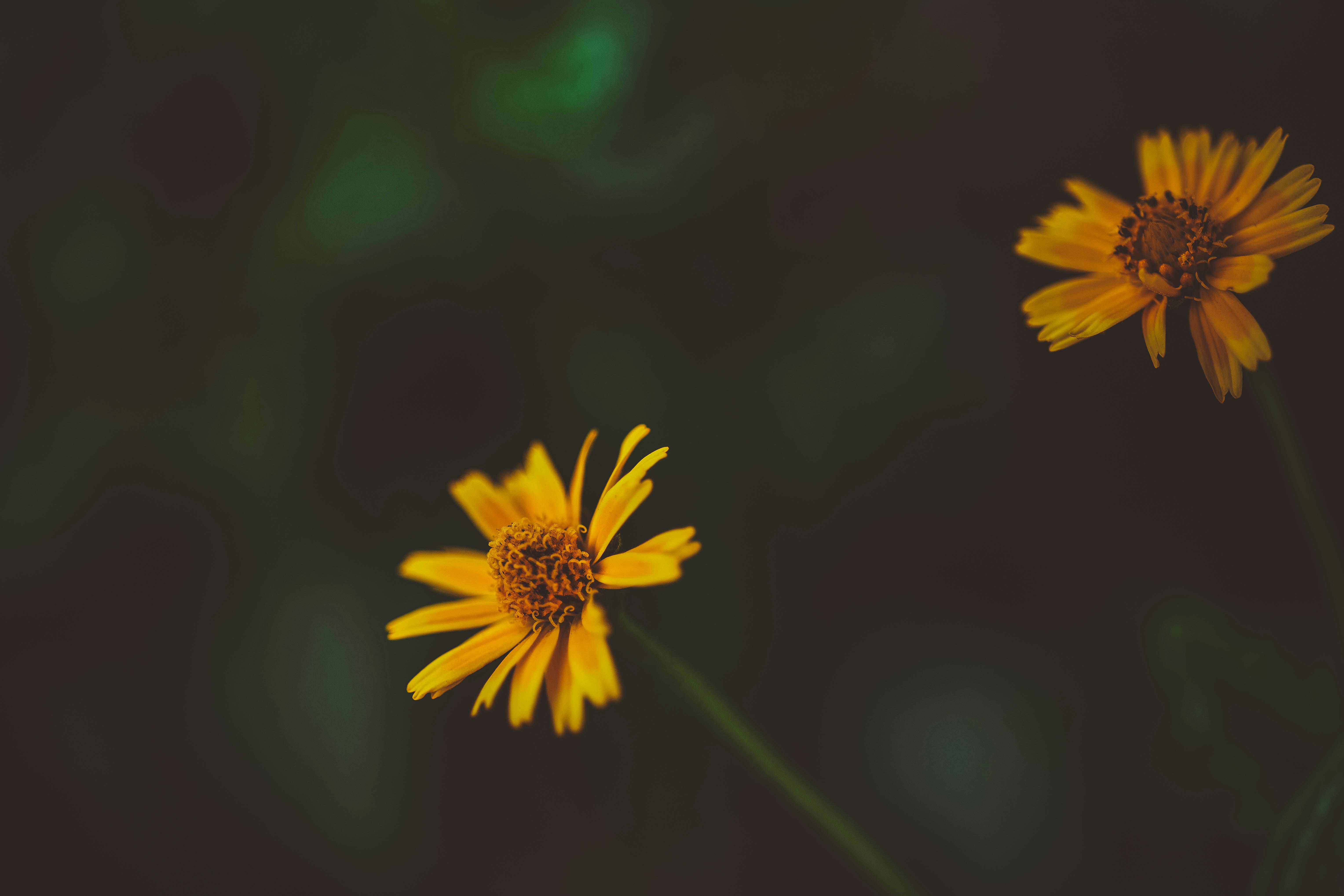 Photo by rrodriguesim