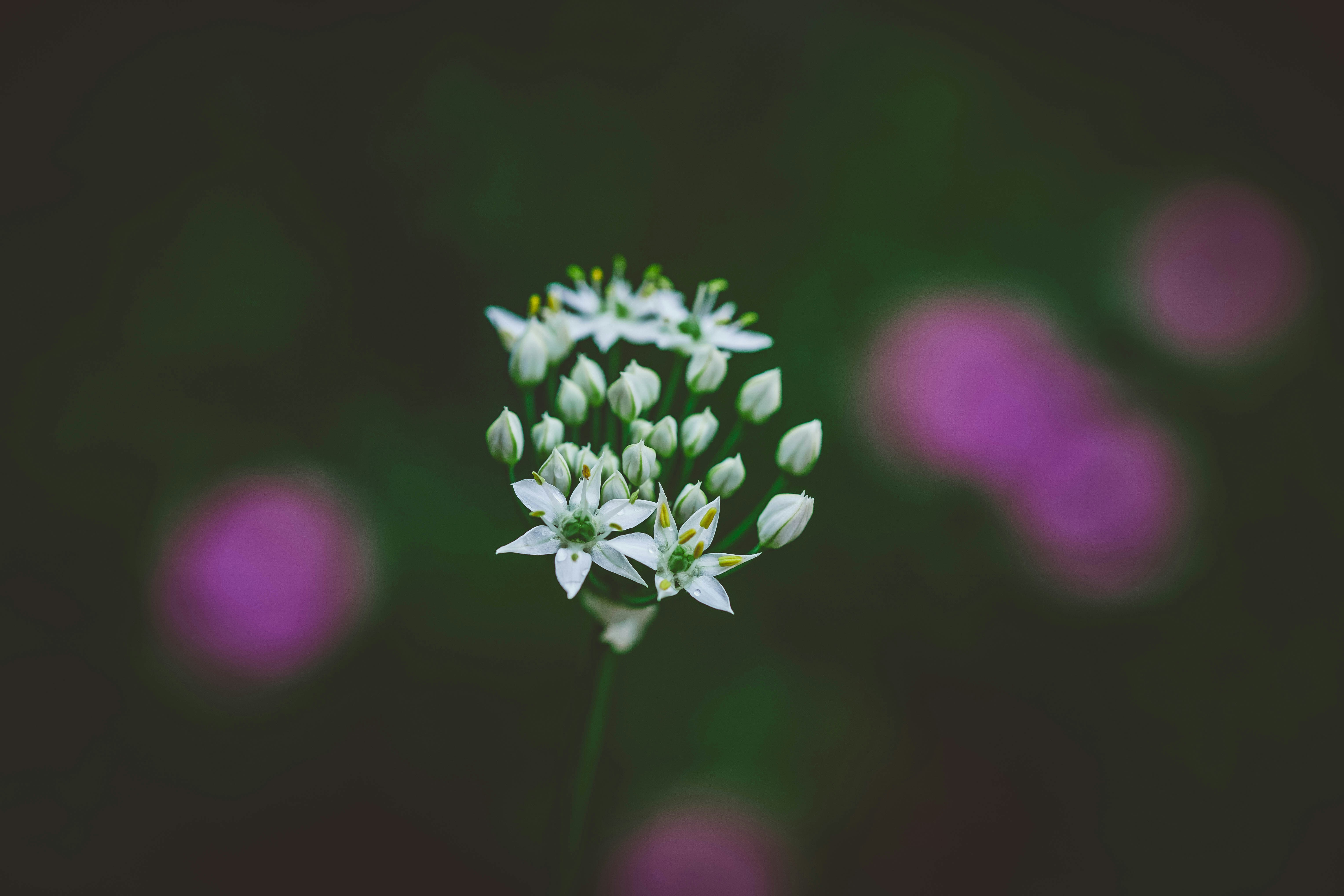 Photo by rrodriguesim