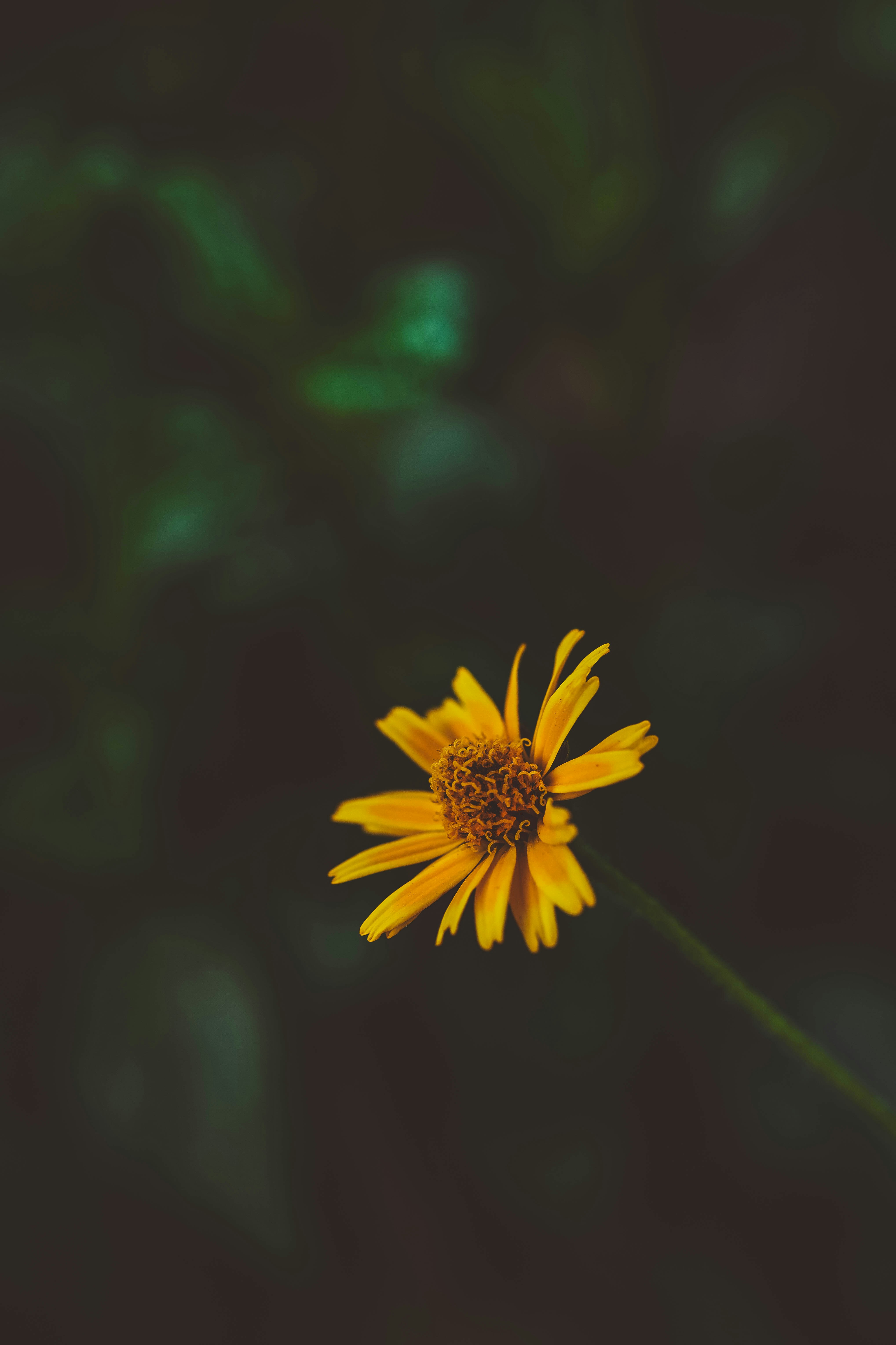 Photo by rrodriguesim