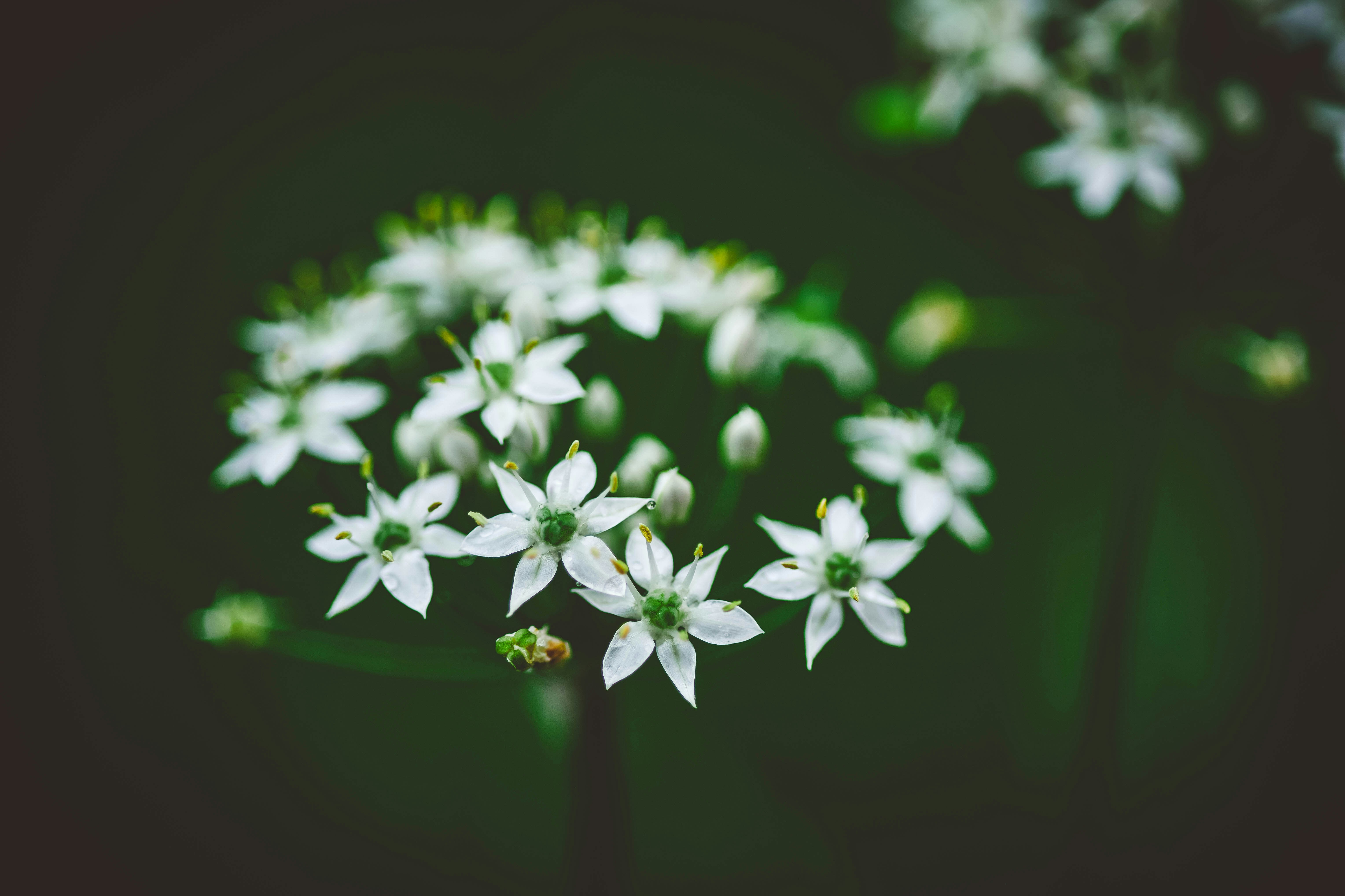 Photo by rrodriguesim