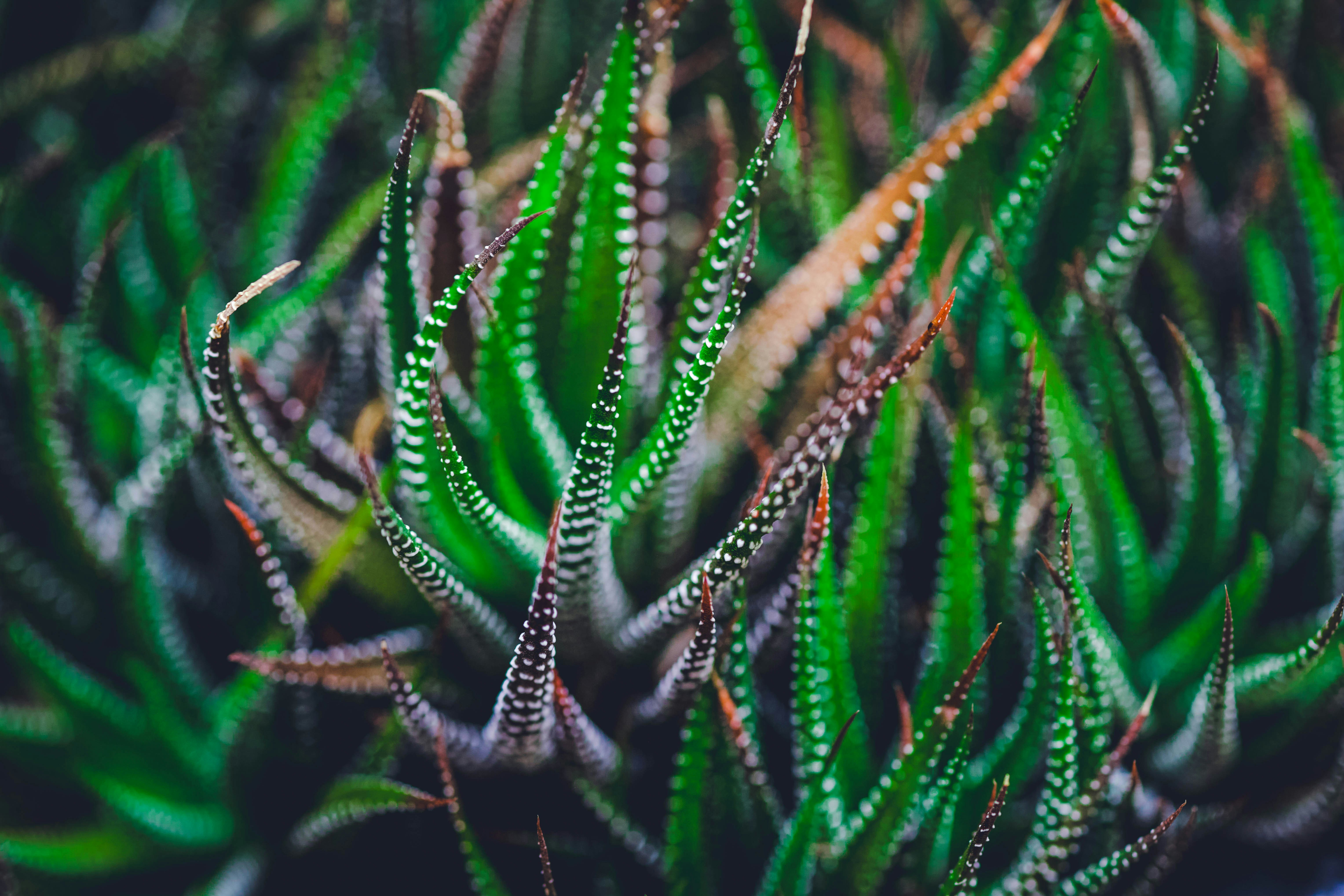 Photo by rrodriguesim