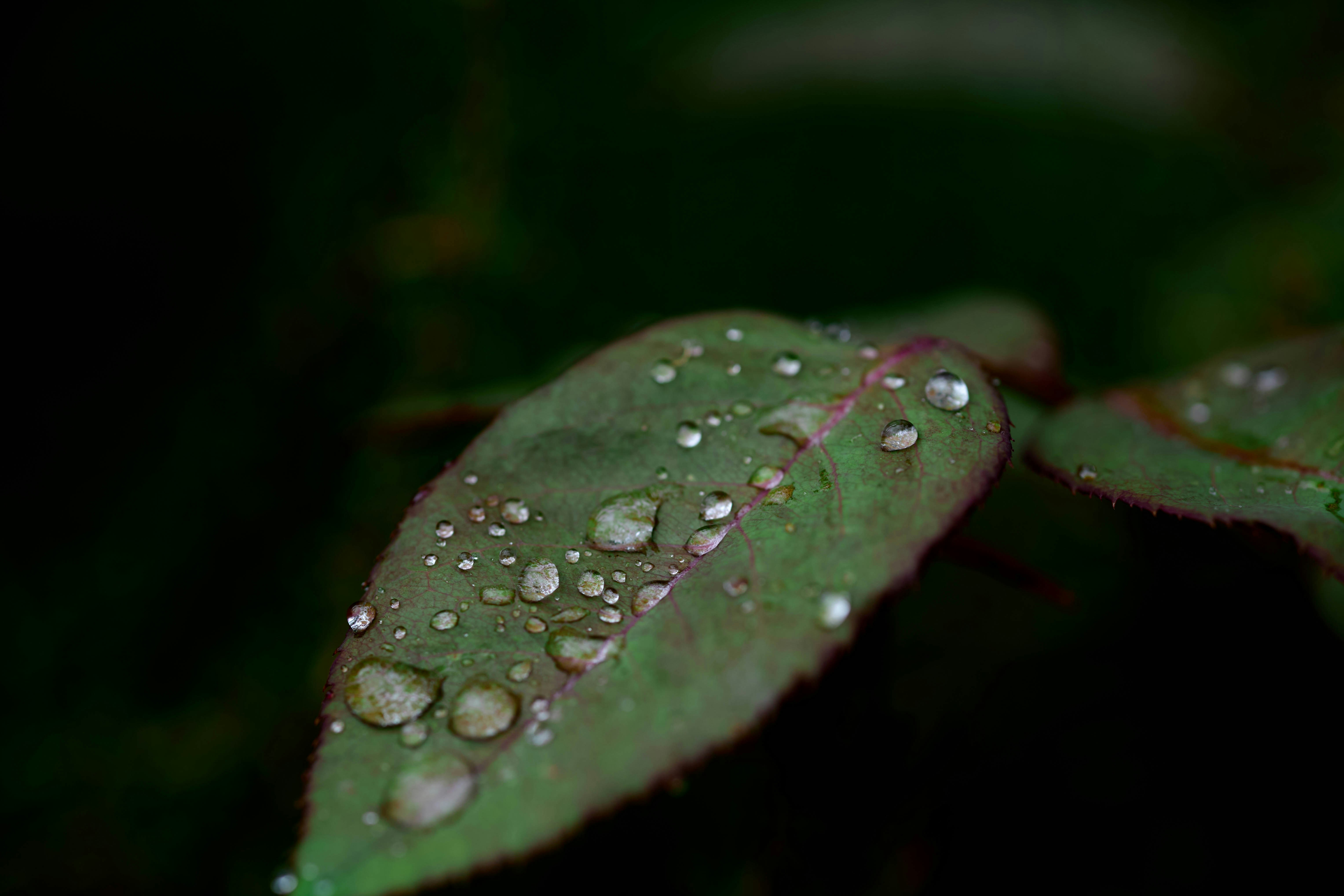 Photo by rrodriguesim