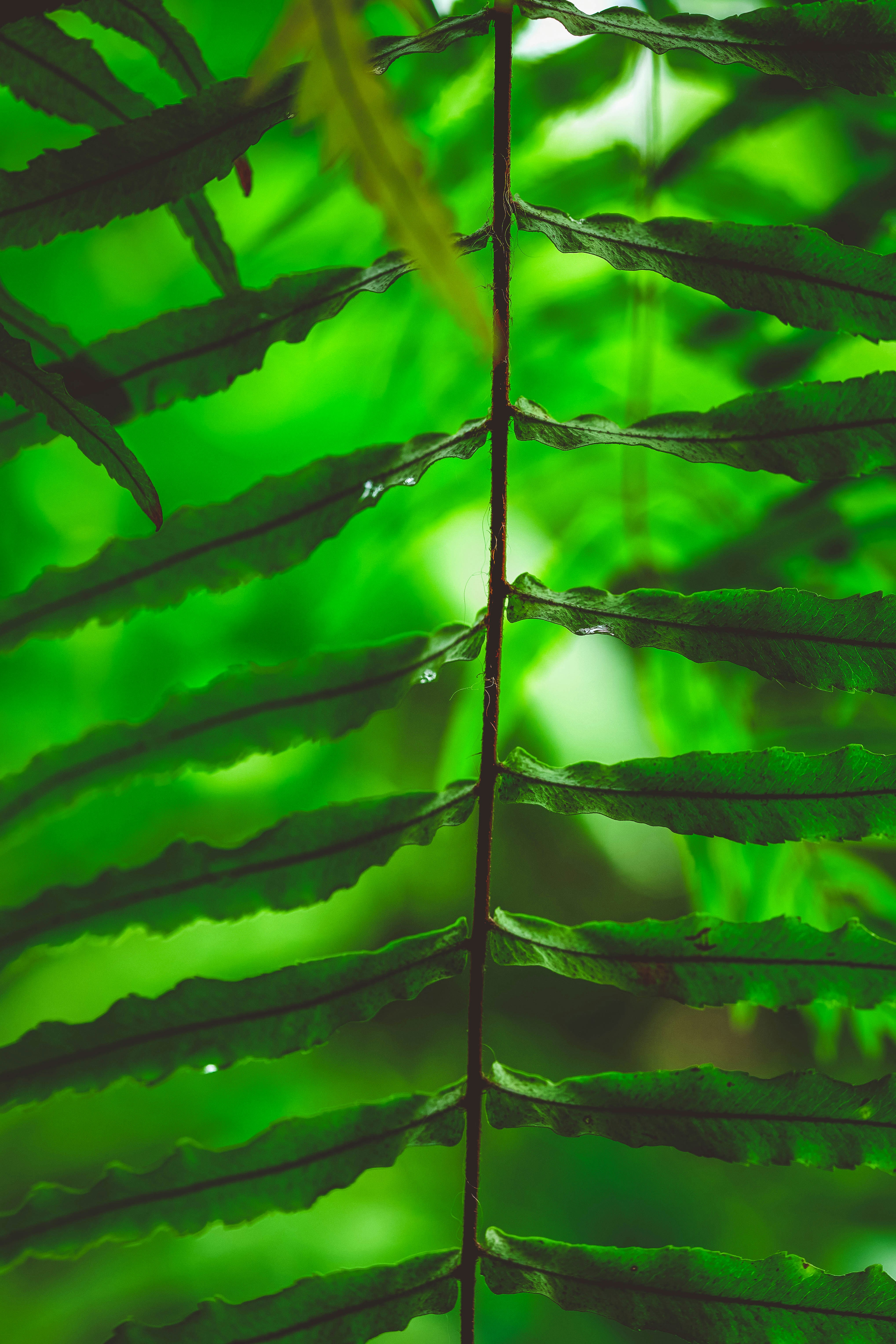 Photo by rrodriguesim