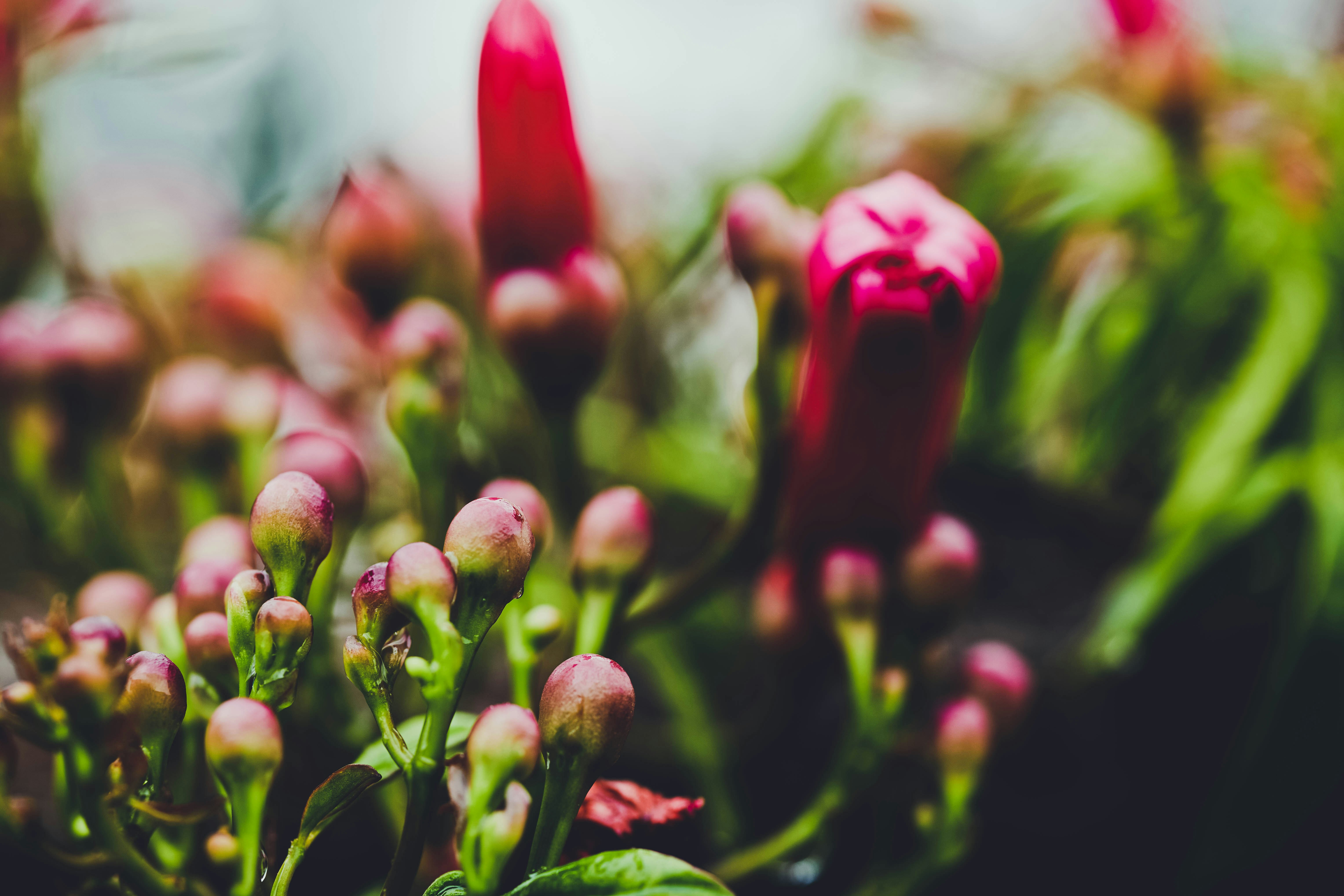 Photo by rrodriguesim