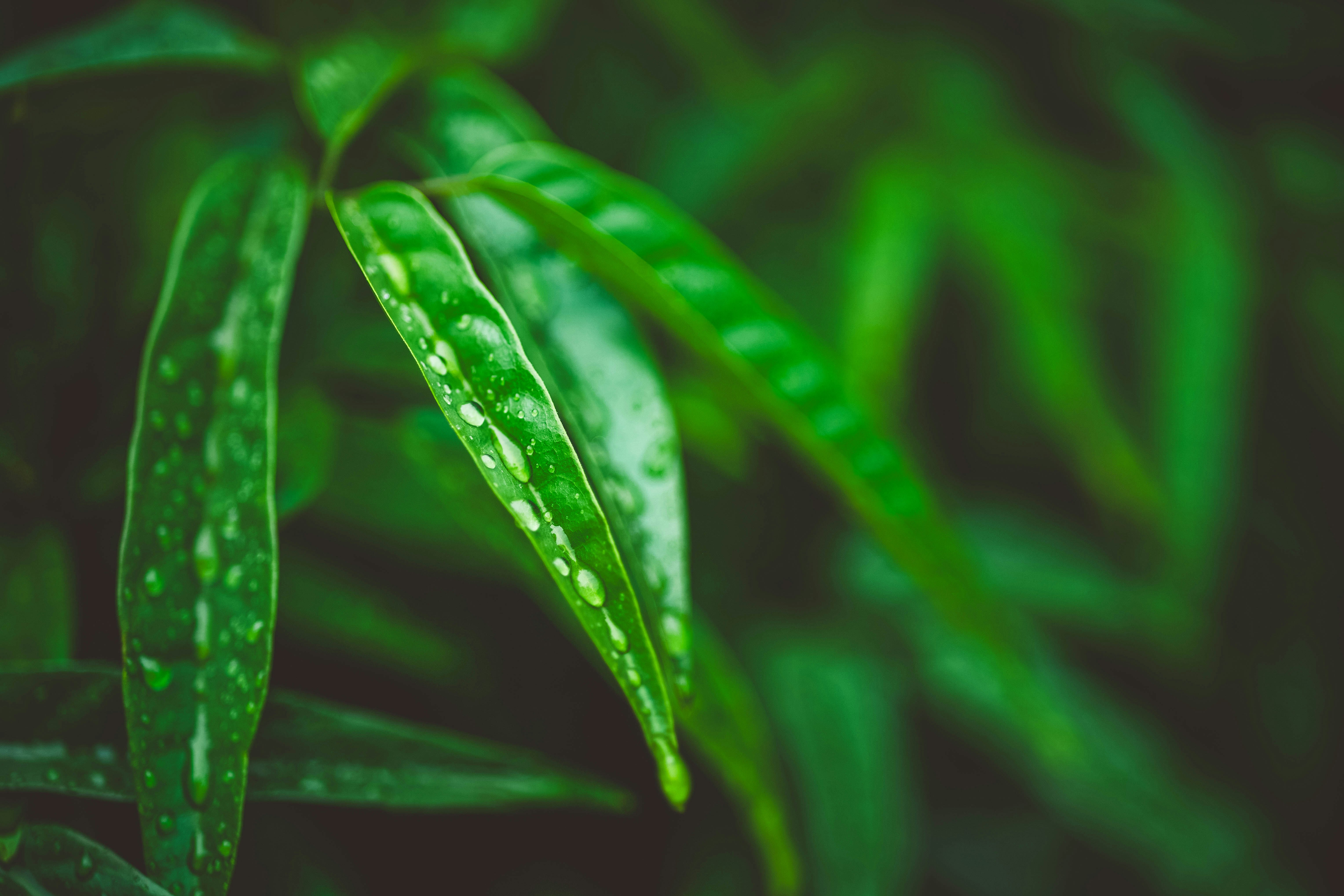 Photo by rrodriguesim