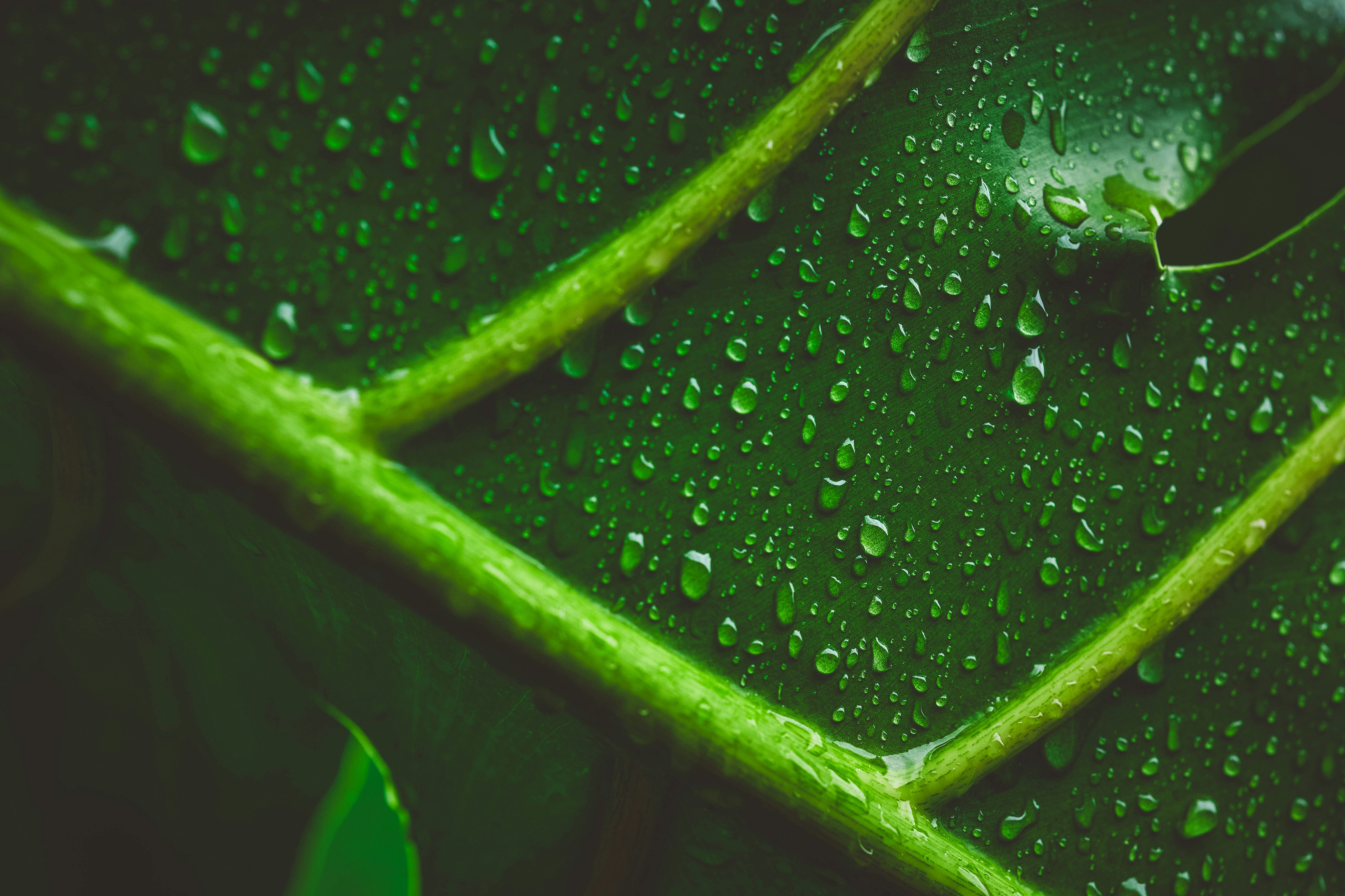 Photo by rrodriguesim