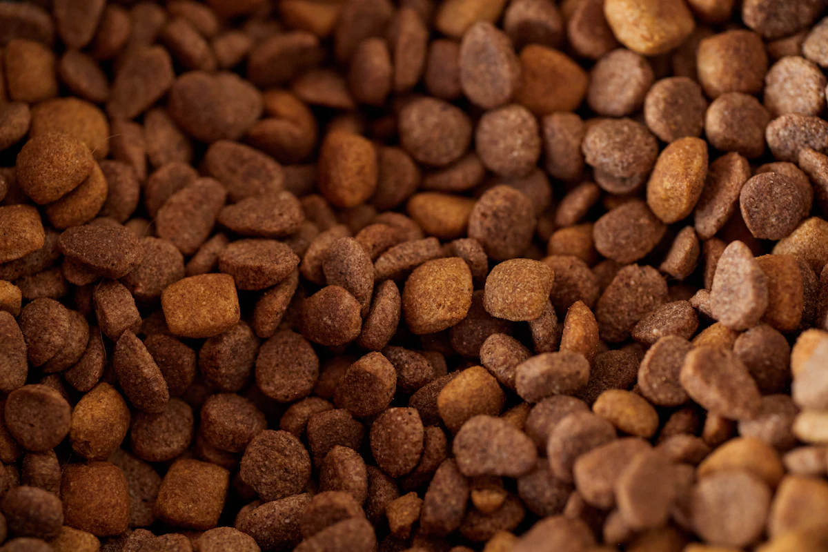 Close-up of dry animal-feed and pet-food pellets