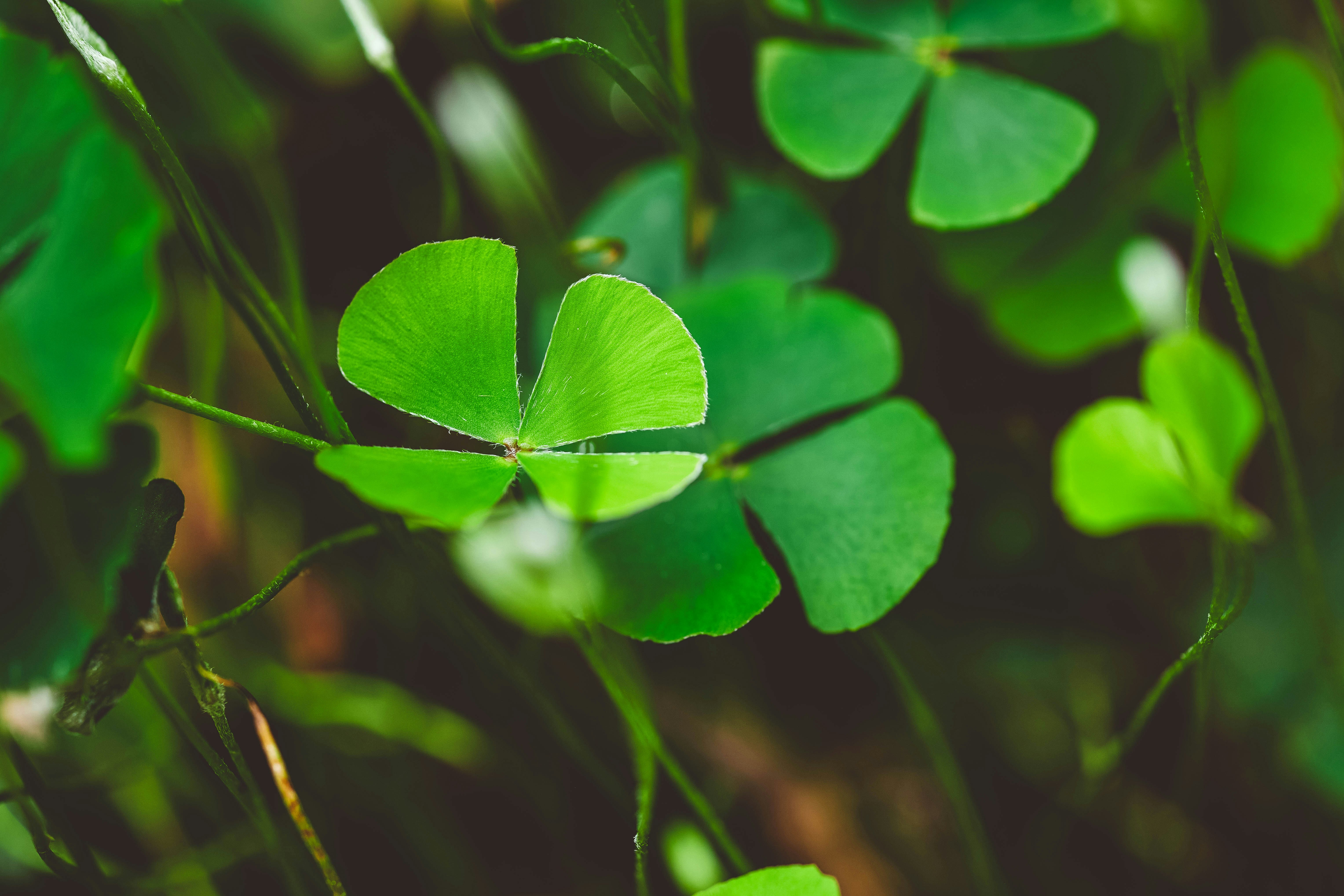 Photo by rrodriguesim