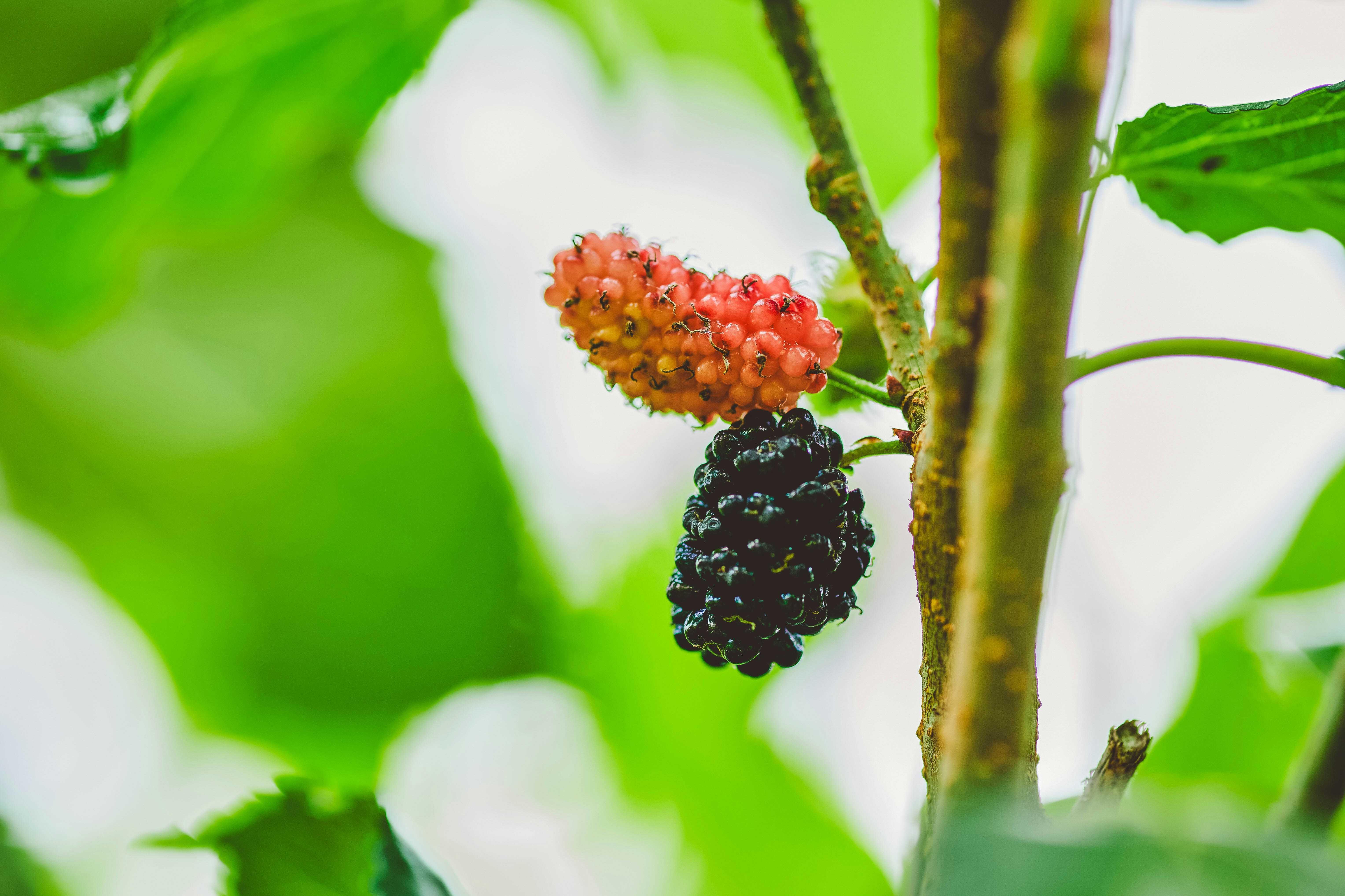 Photo by rrodriguesim