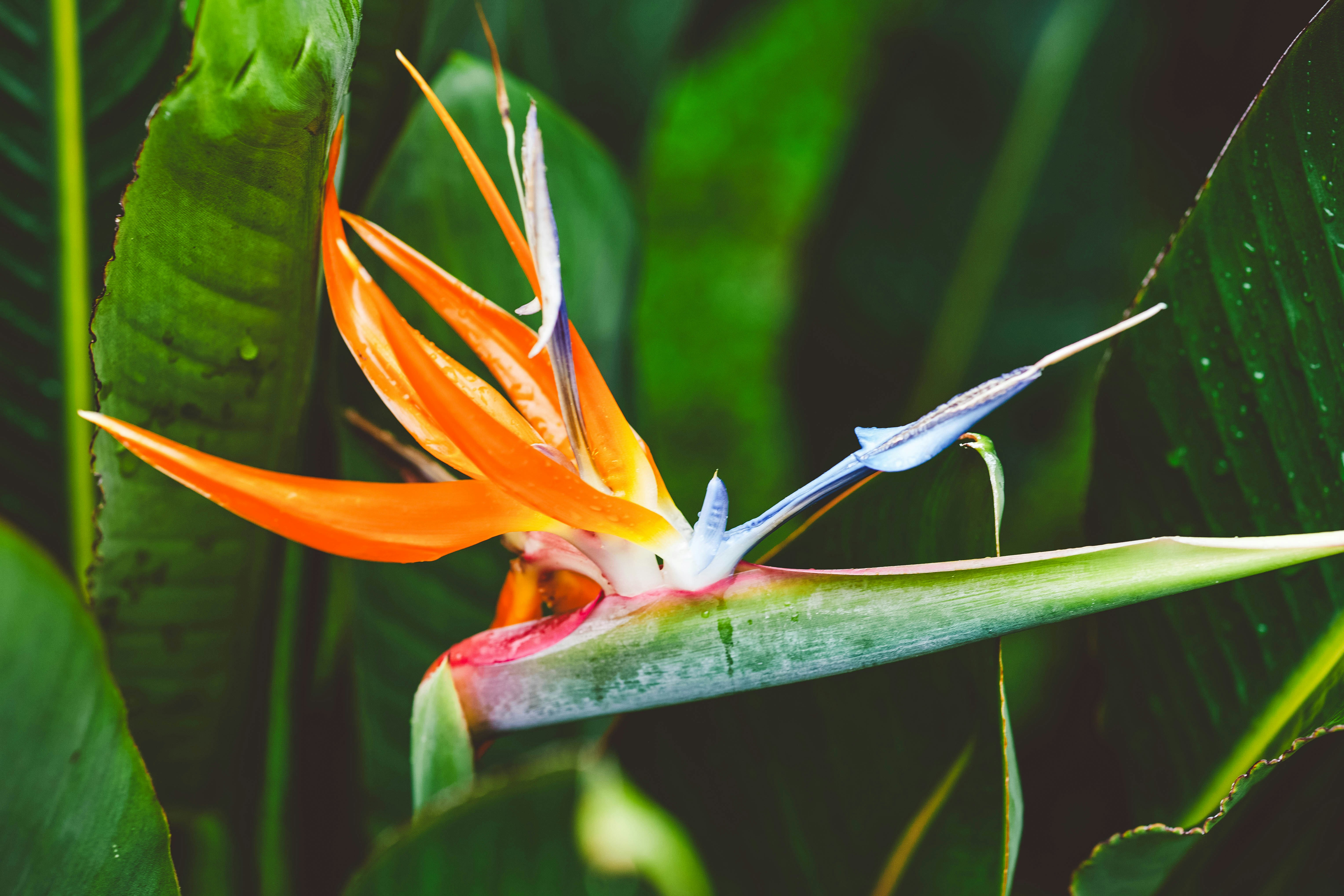 Photo by rrodriguesim