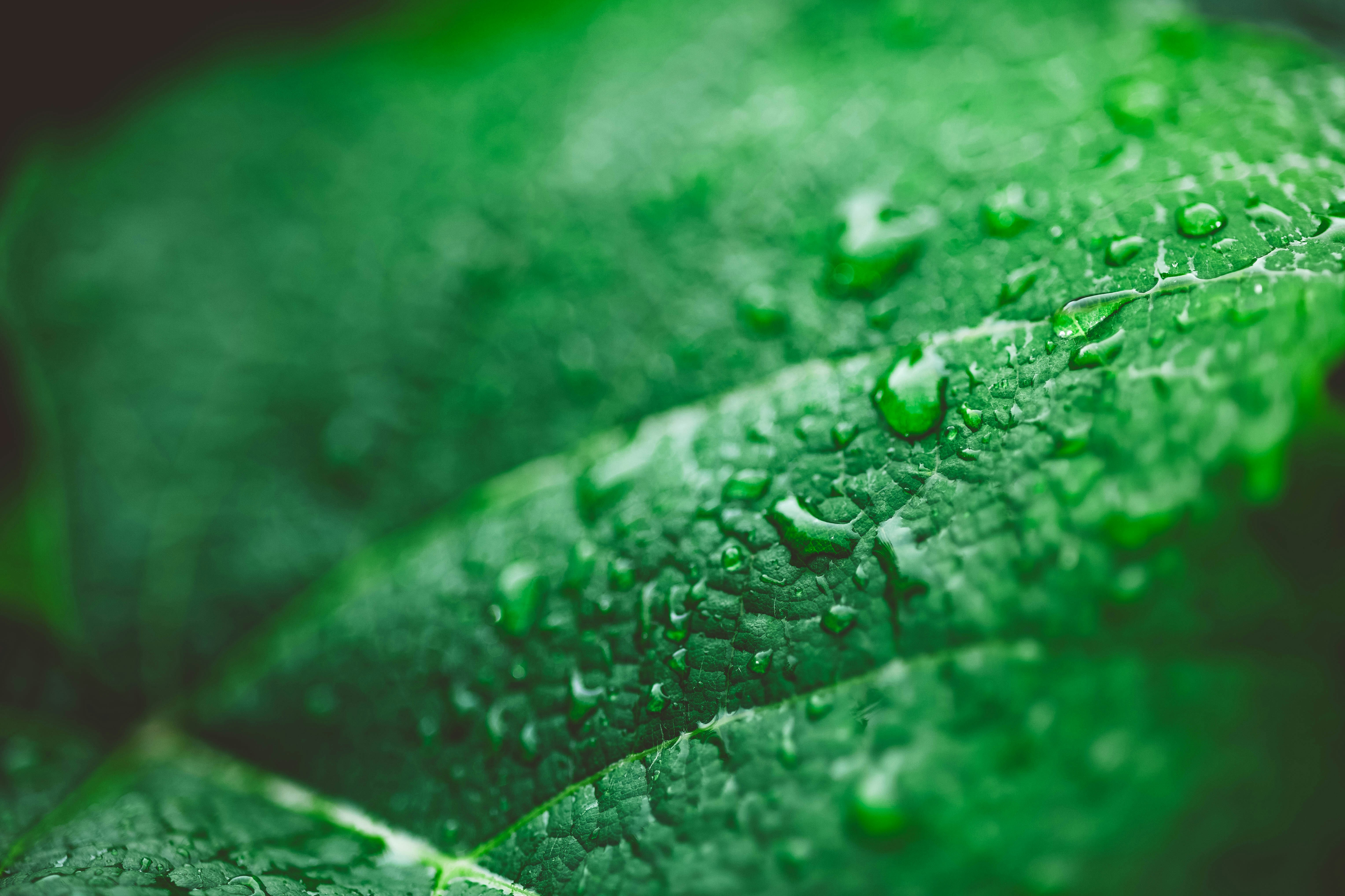 Photo by rrodriguesim