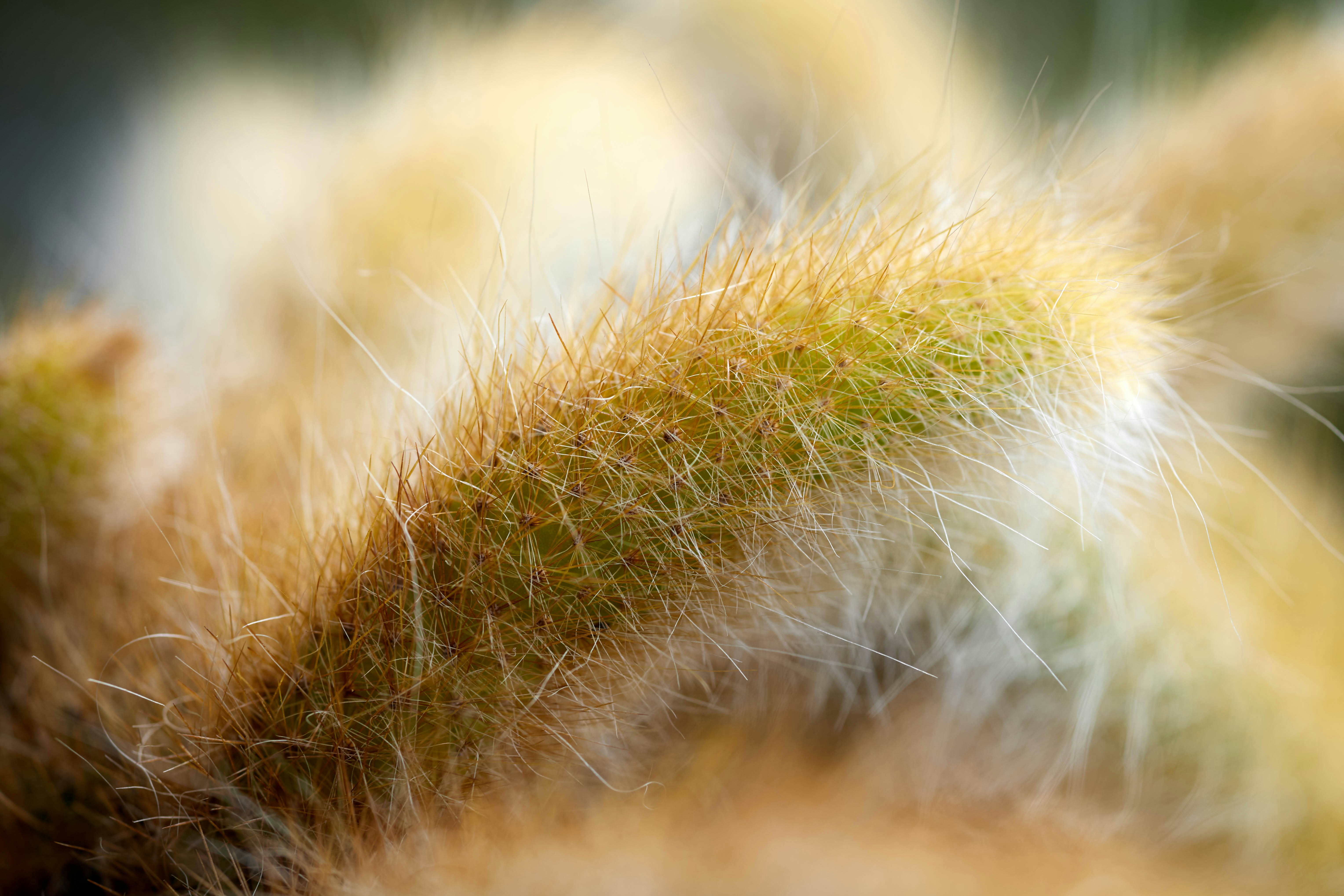 Photo by rrodriguesim