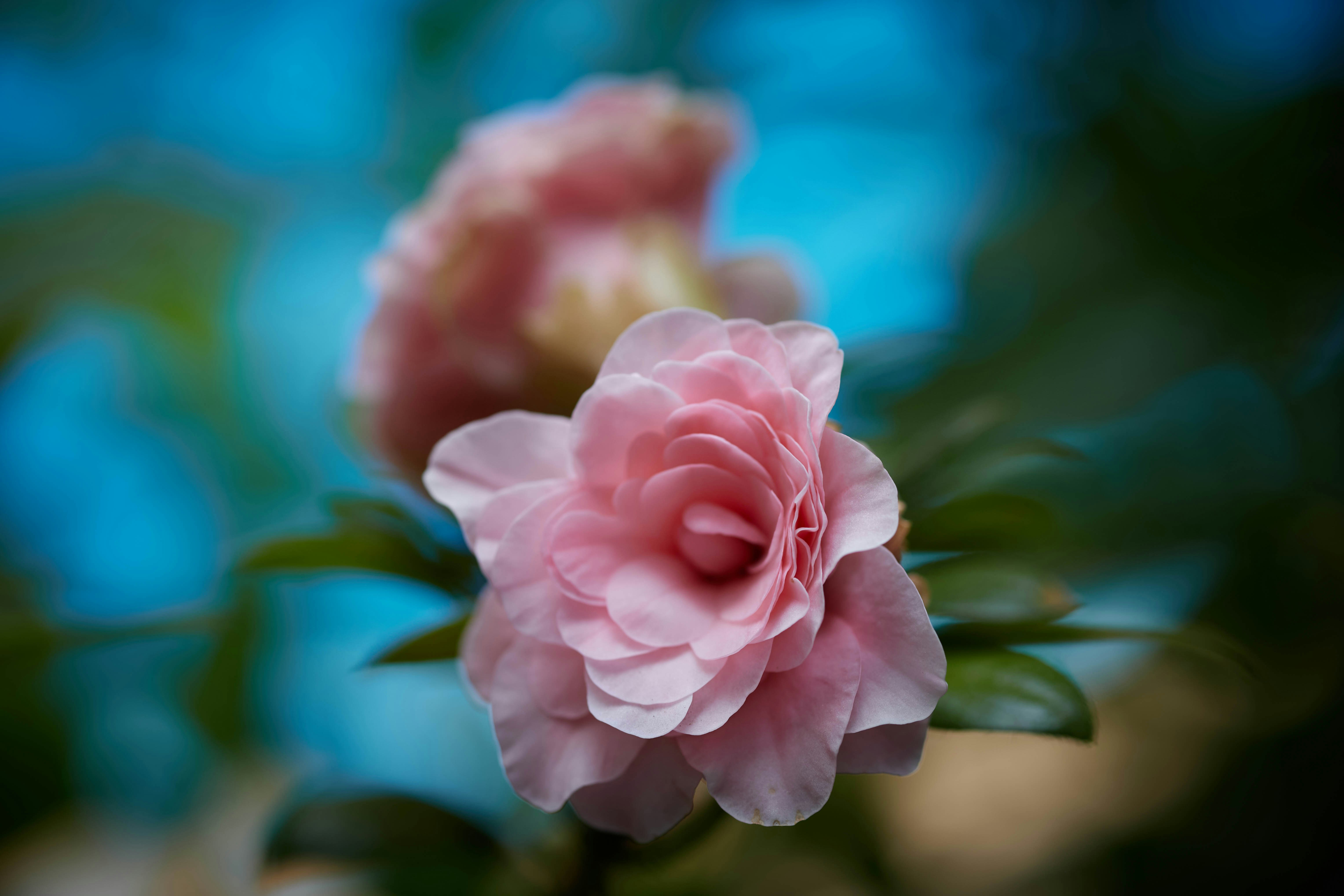 Photo by rrodriguesim