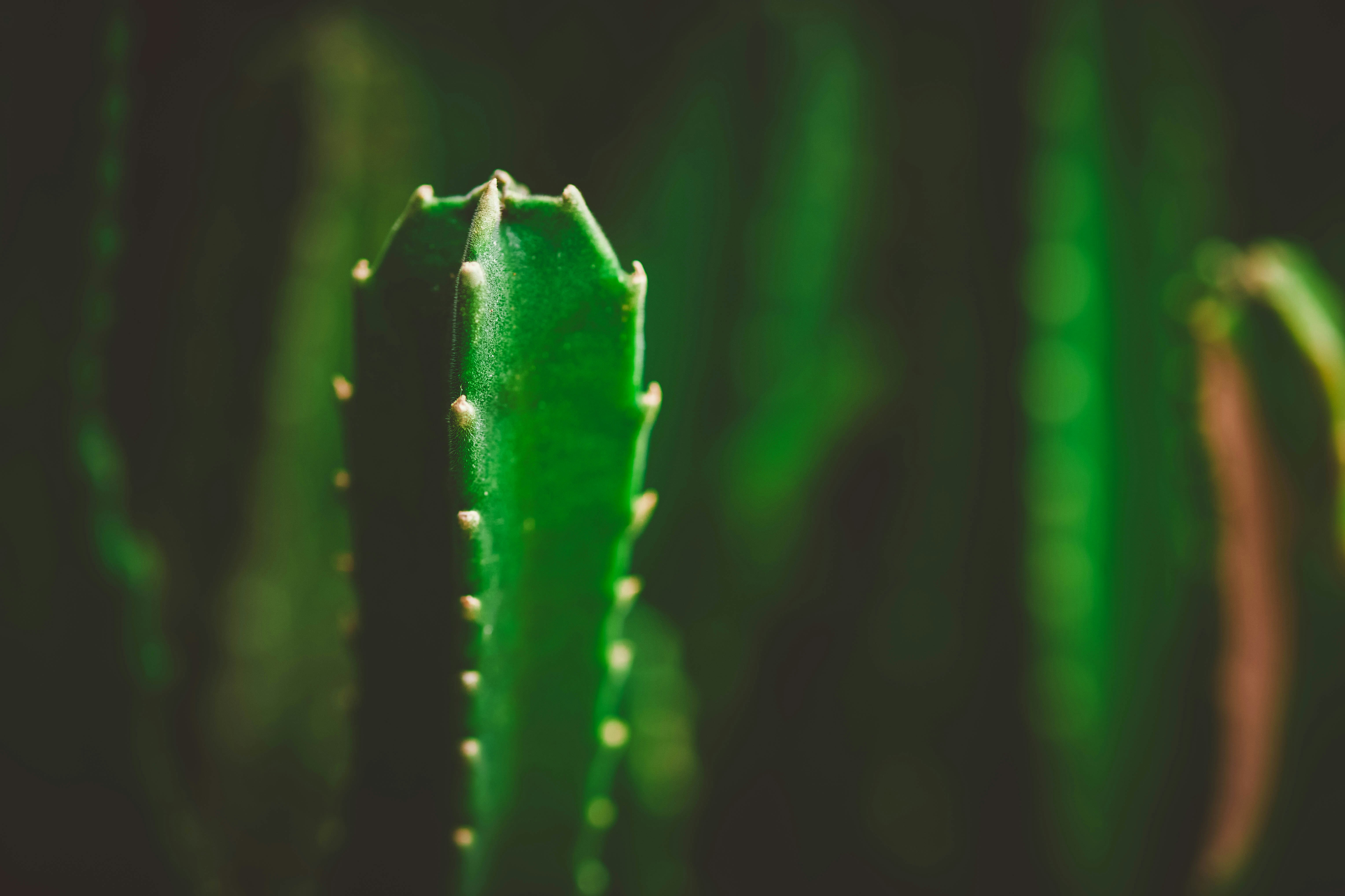 Photo by rrodriguesim