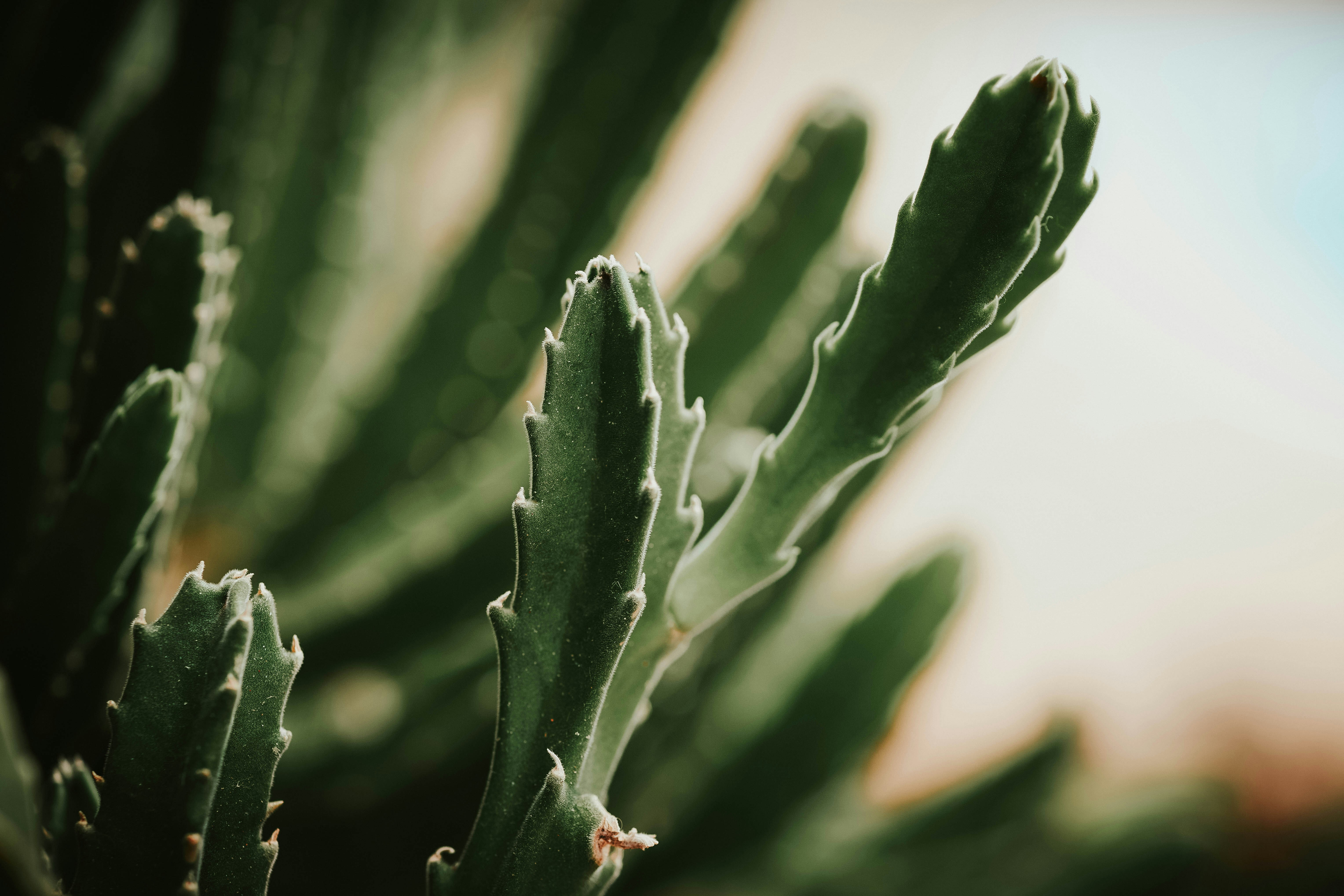 Photo by rrodriguesim