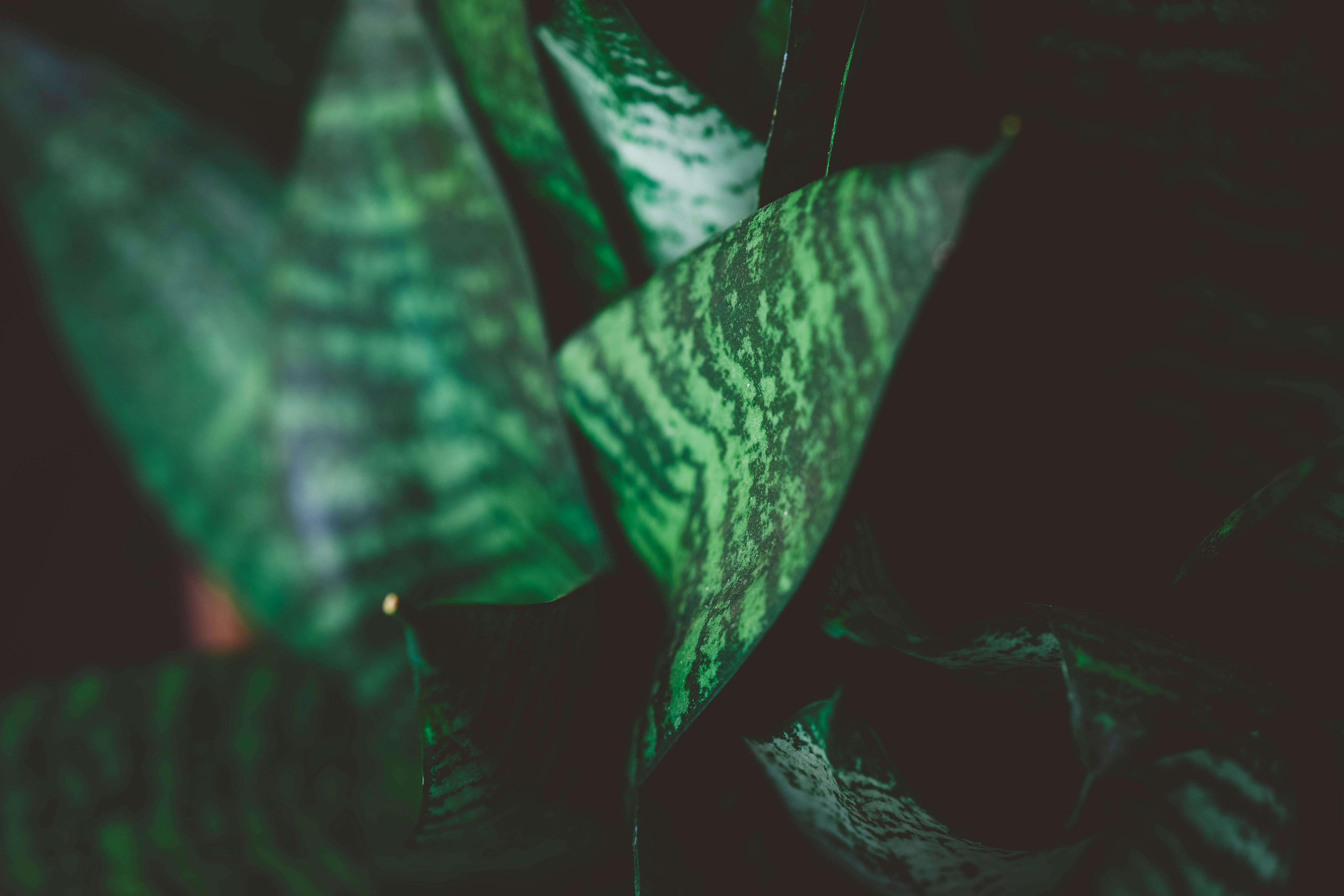 Photo by rrodriguesim