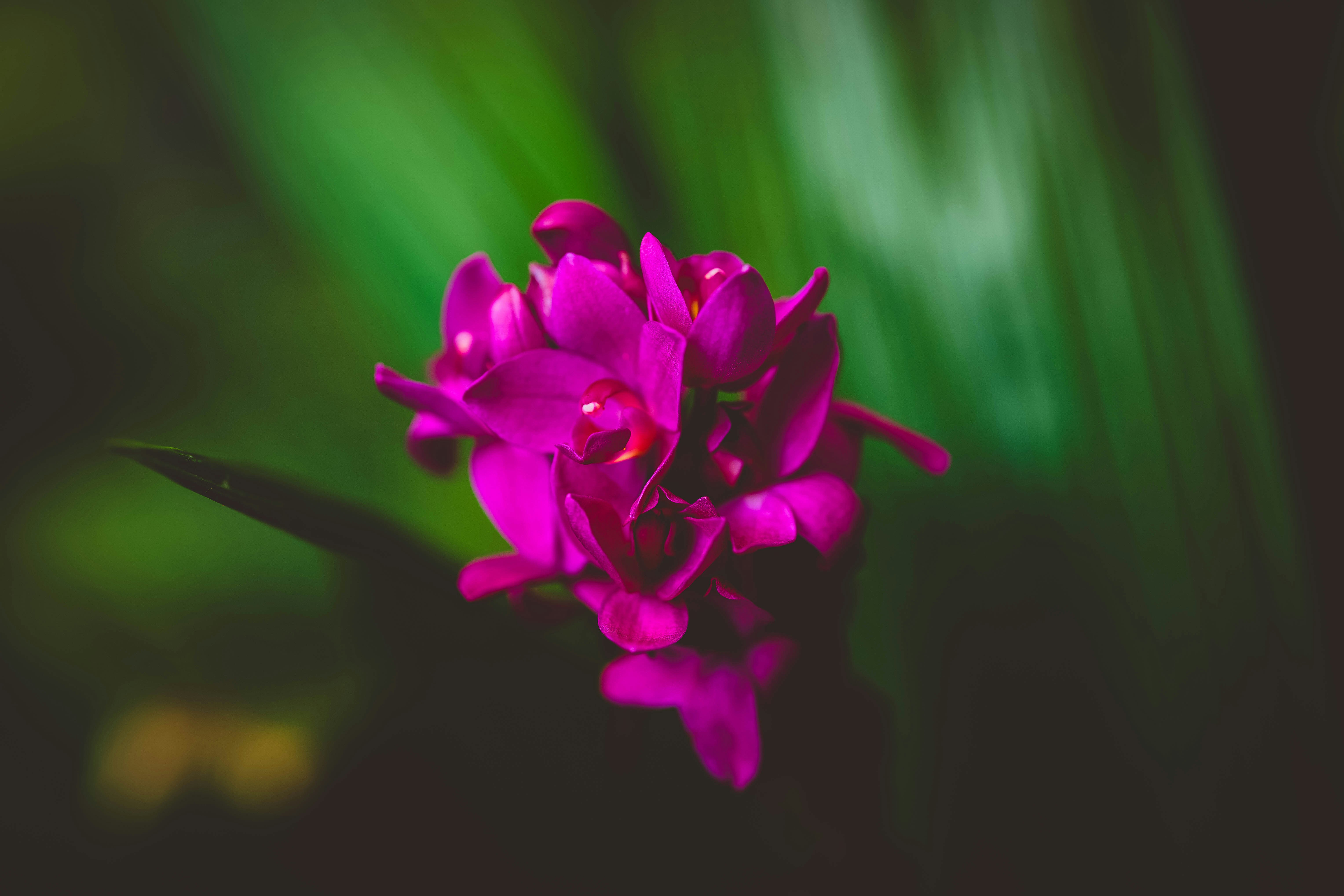 Photo by rrodriguesim