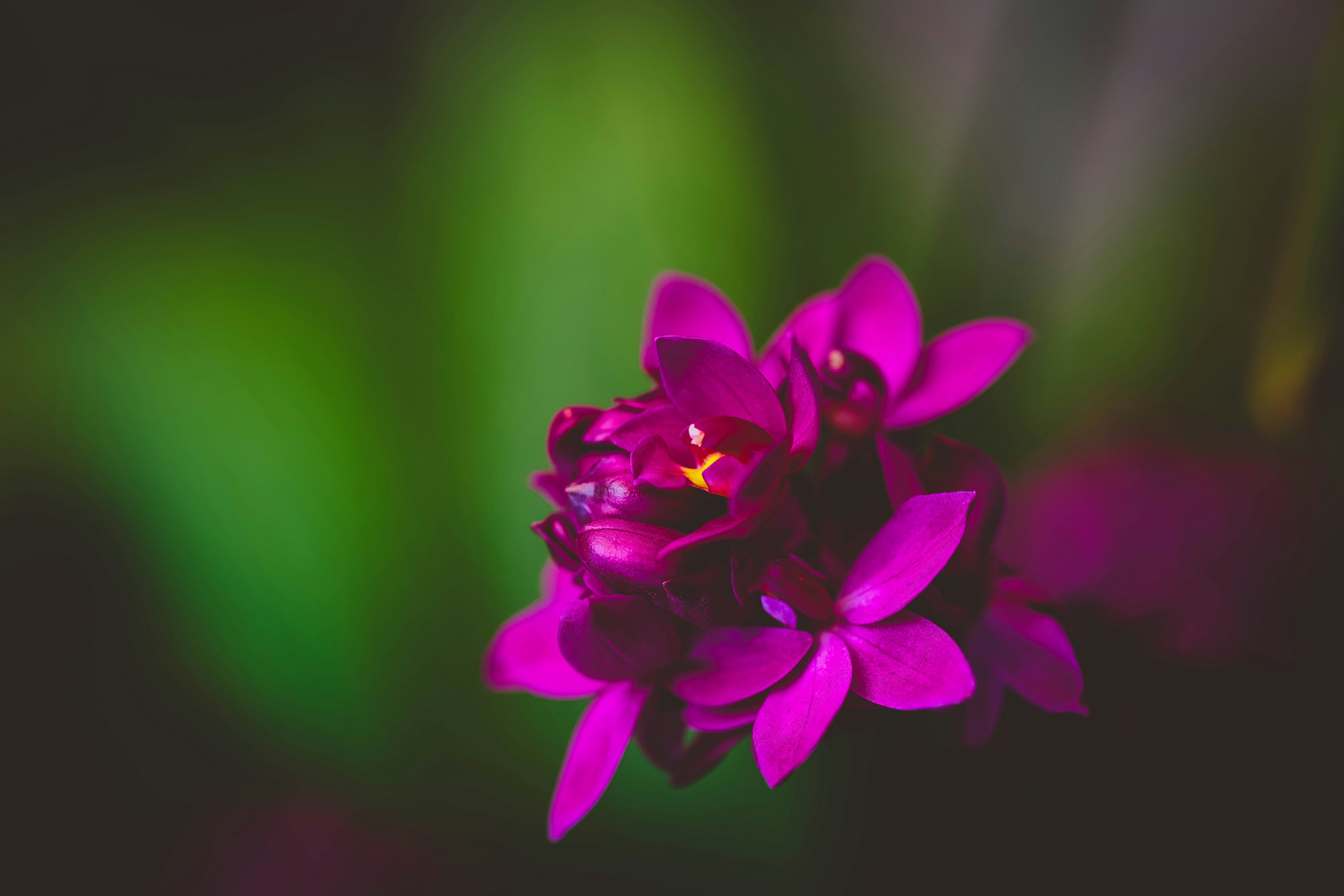 Photo by rrodriguesim