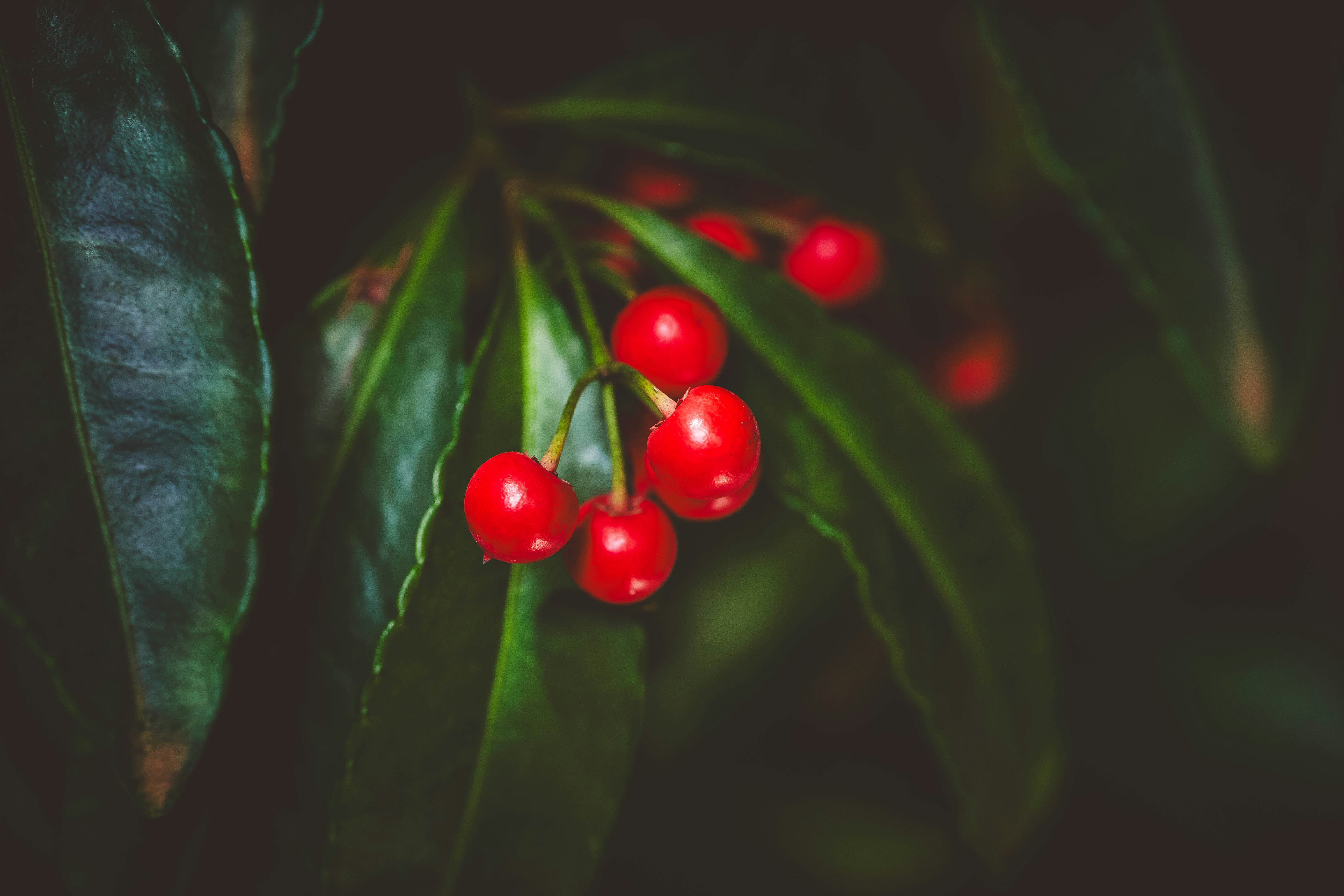 Photo by rrodriguesim