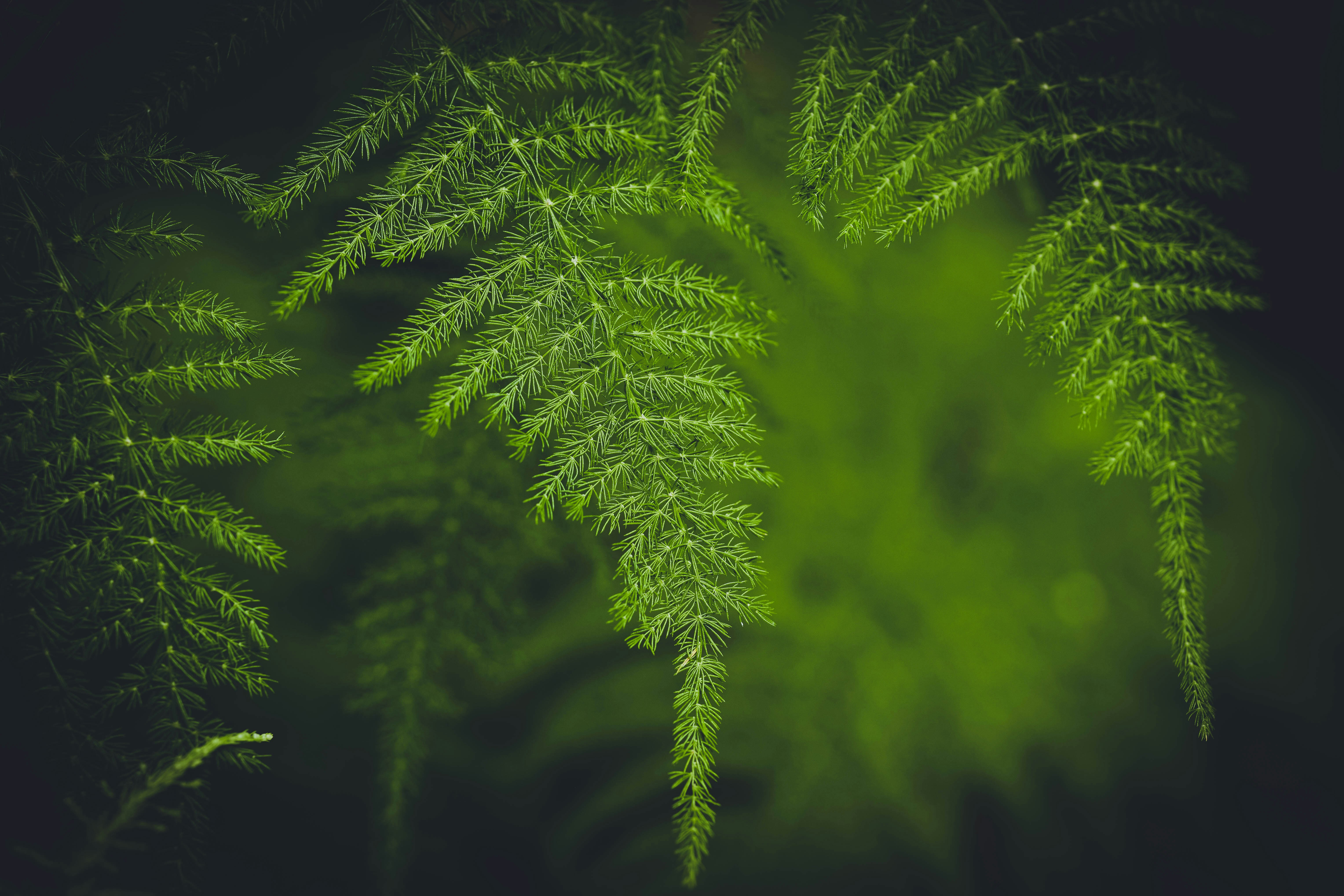 Photo by rrodriguesim