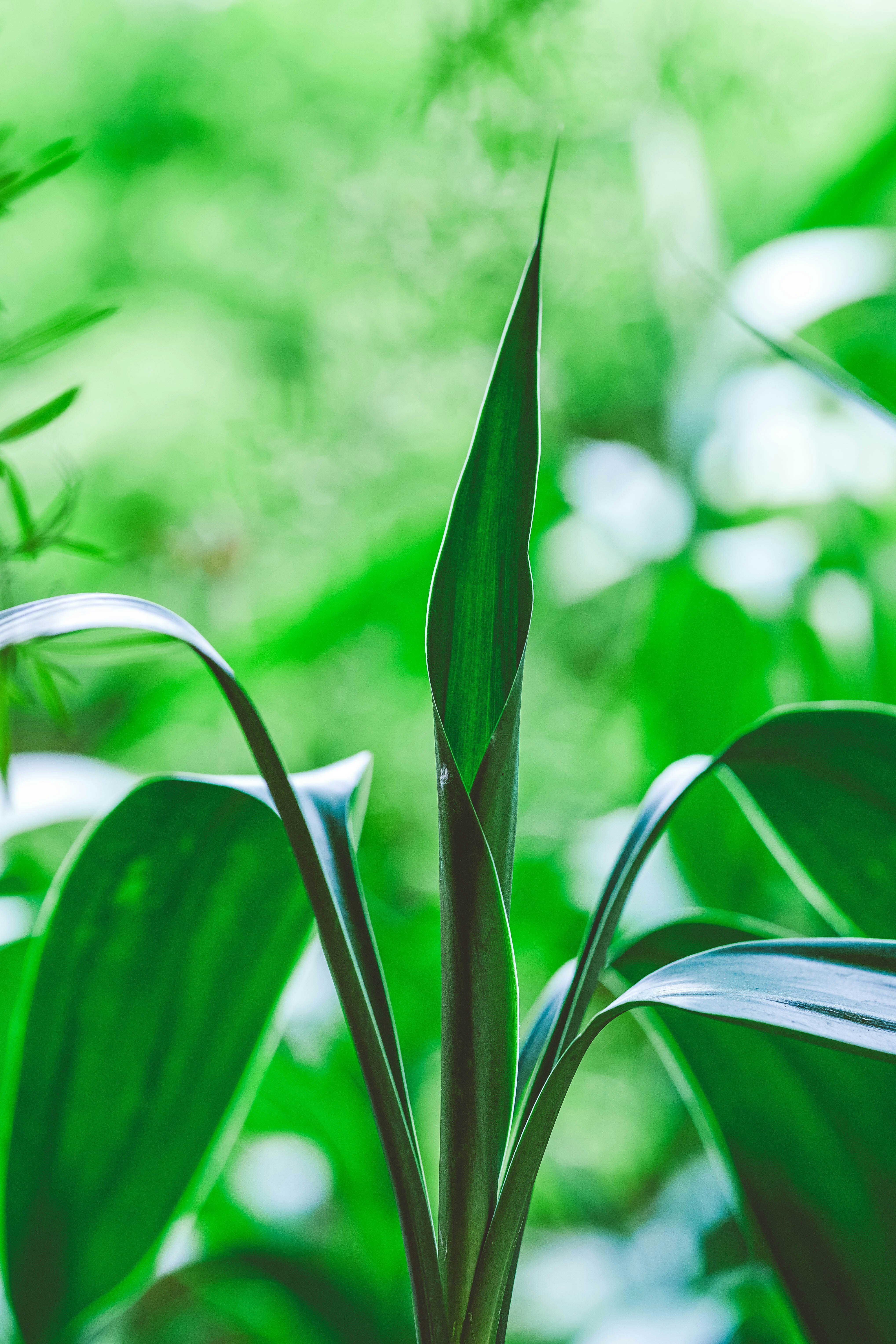 Photo by rrodriguesim