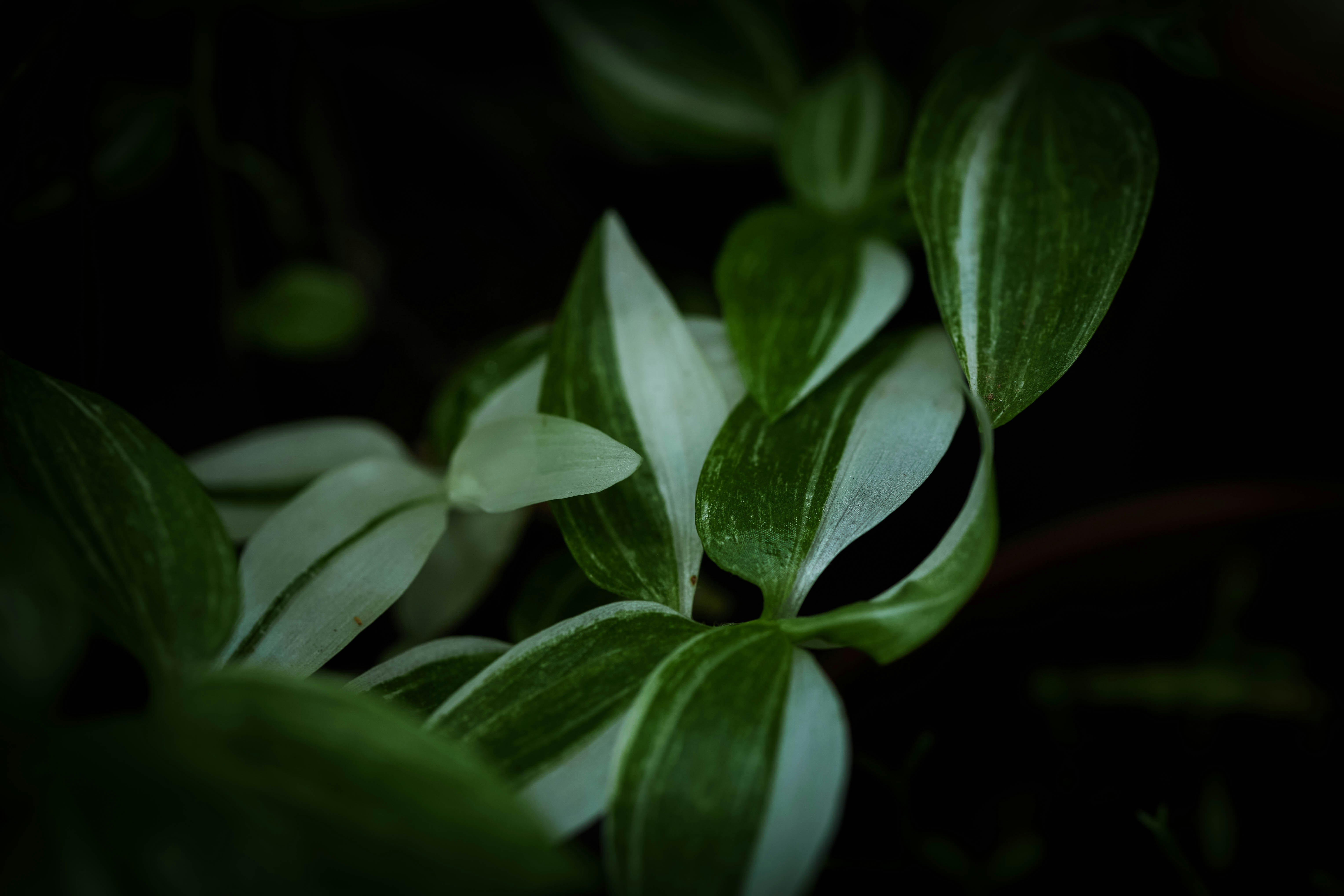 Photo by rrodriguesim