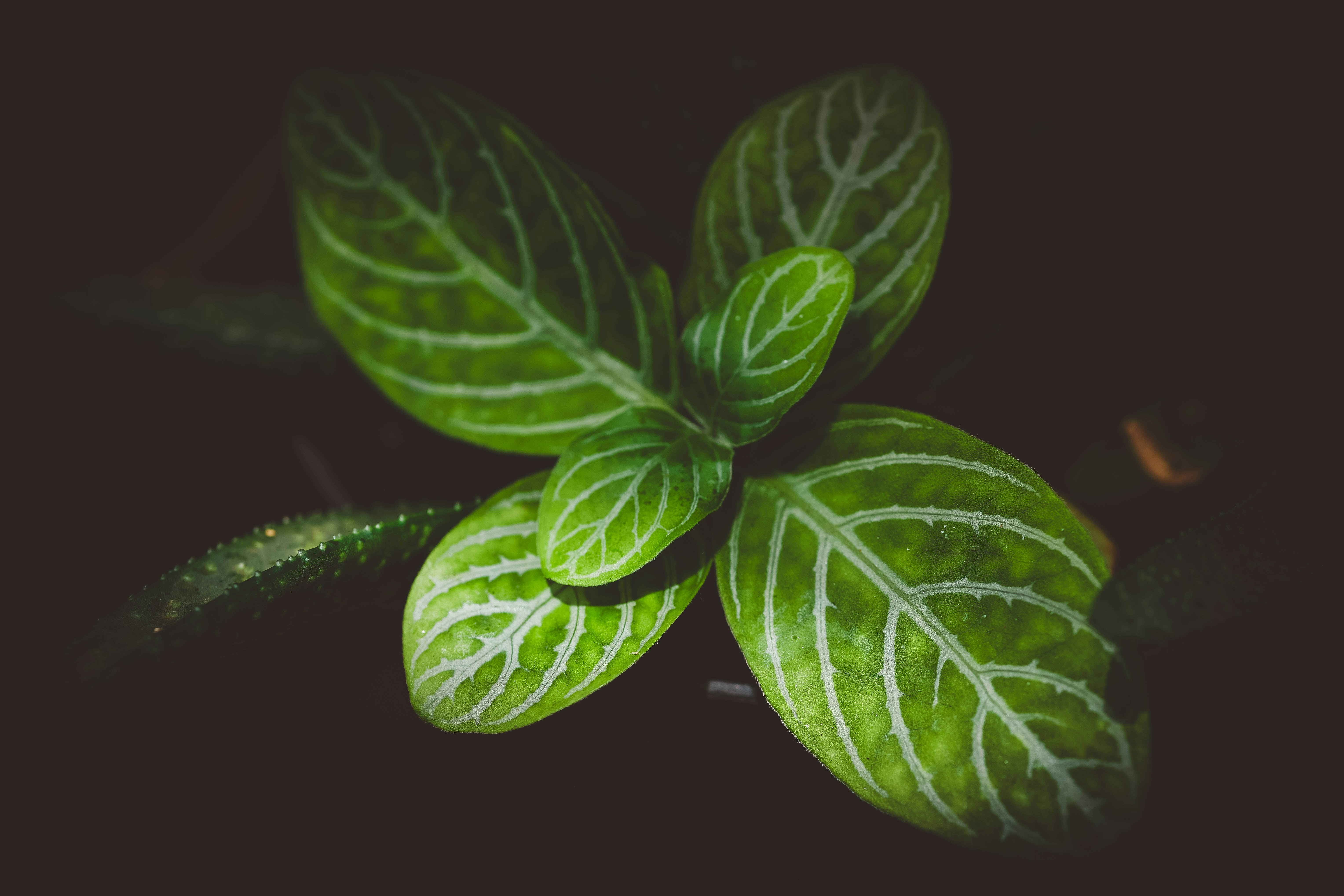 Photo by rrodriguesim