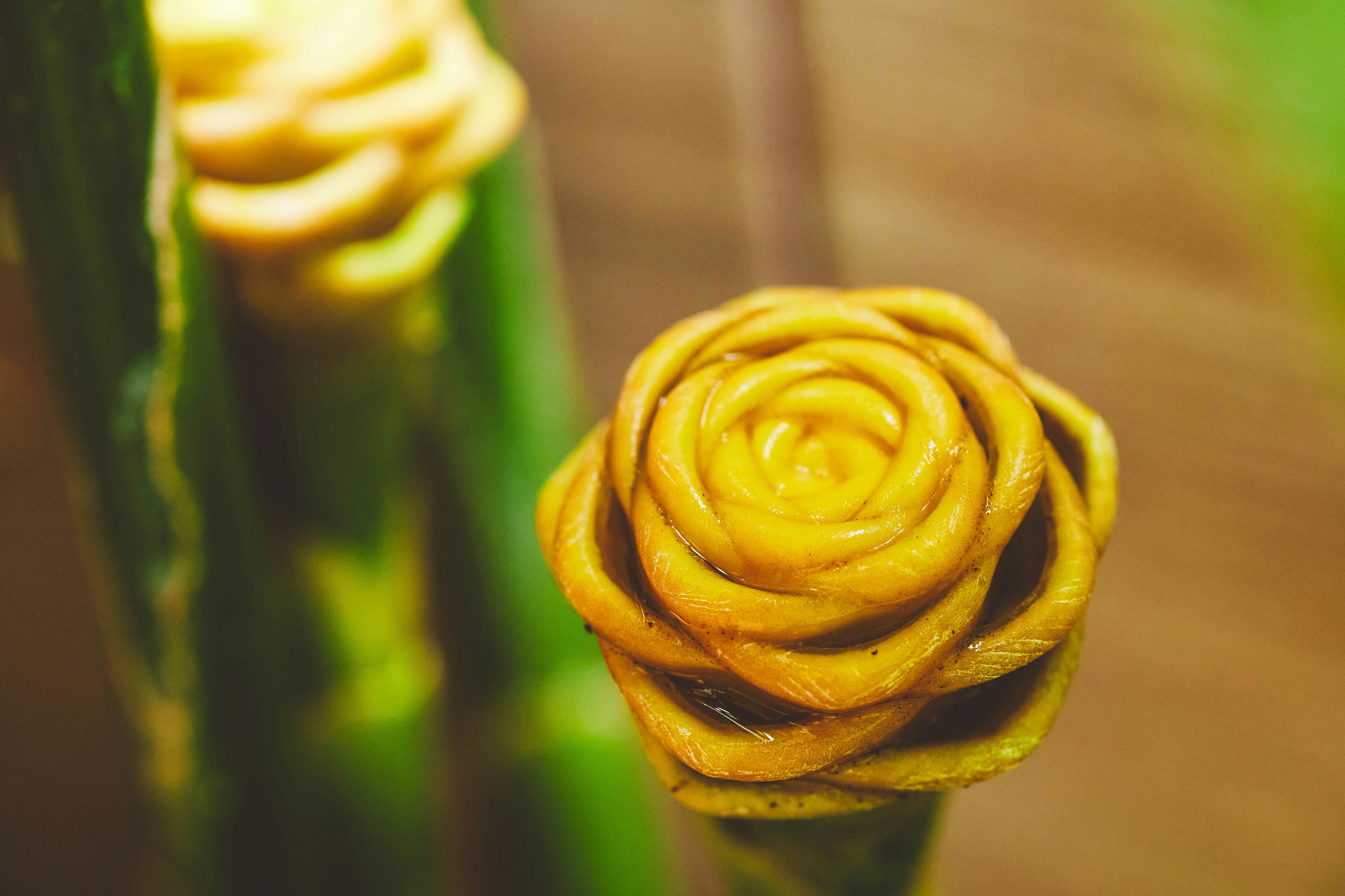 Gros plan d’un bouton de fleur de gingembre jaune