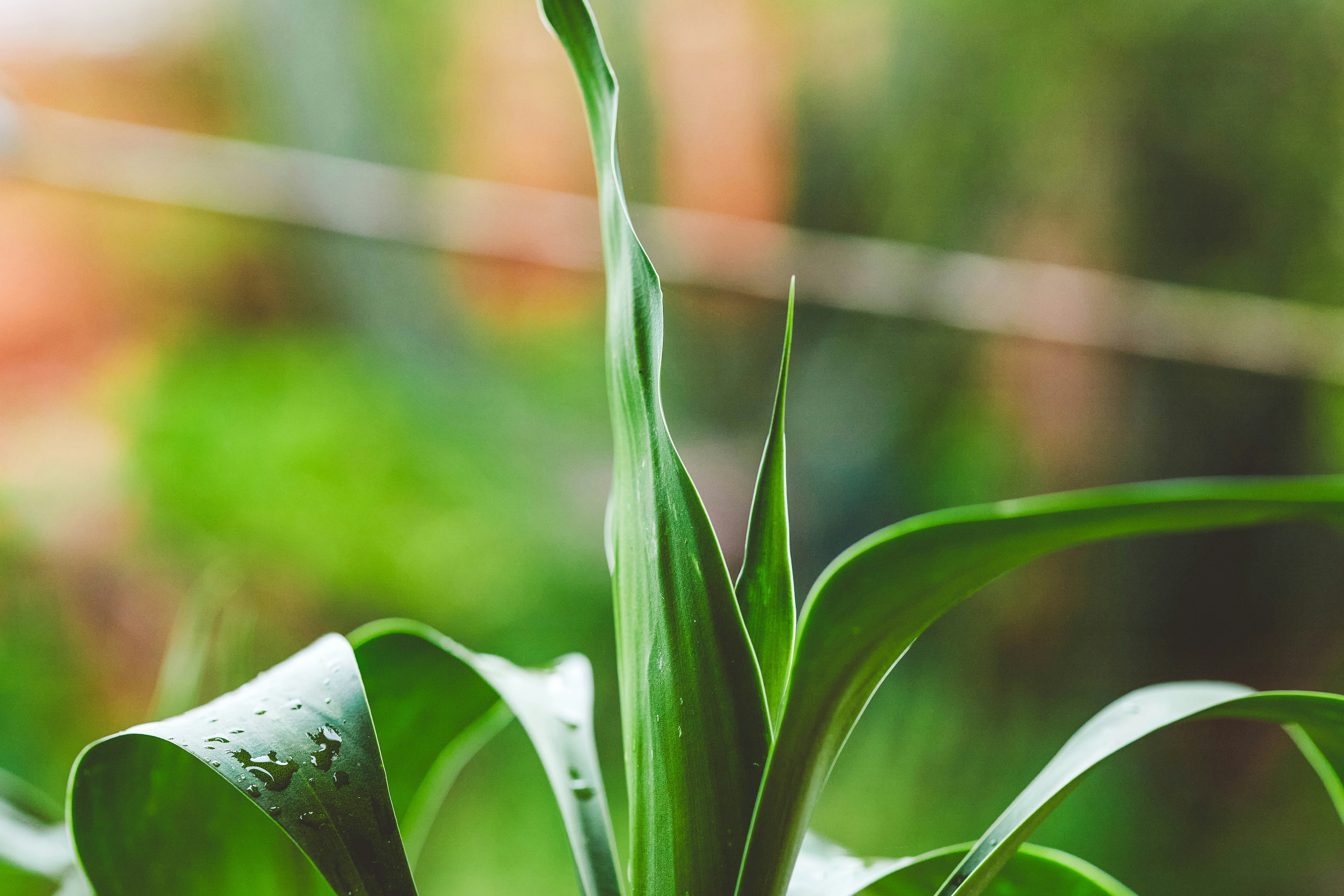 Photo by rrodriguesim