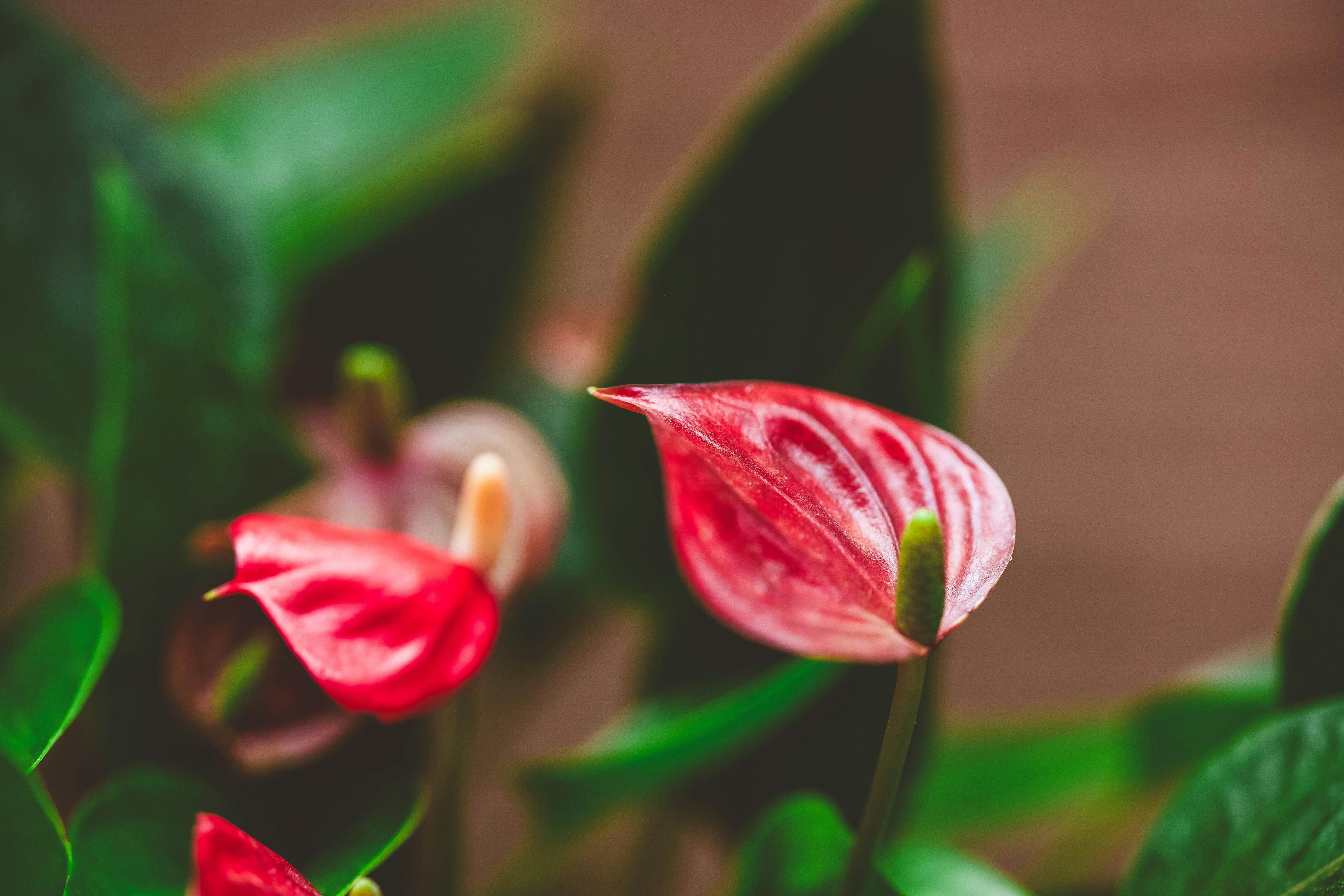 Photo by rrodriguesim