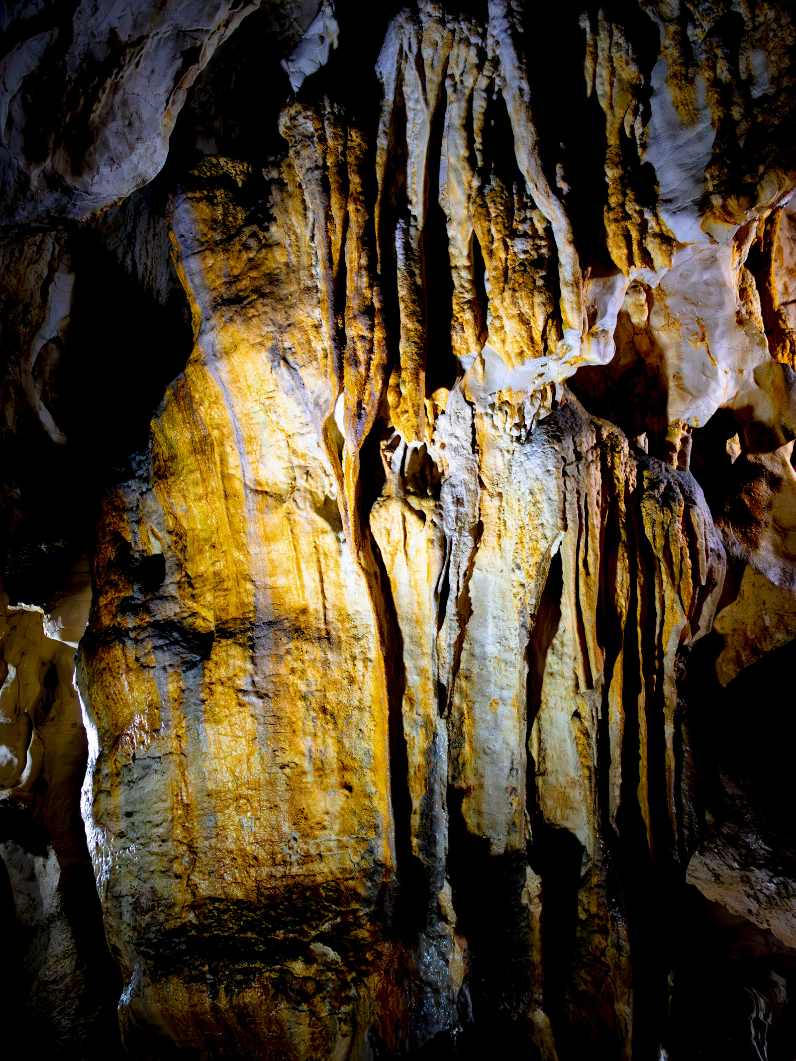 Stalactites et stalagmites colorées dans une grotte (image d'illustration)