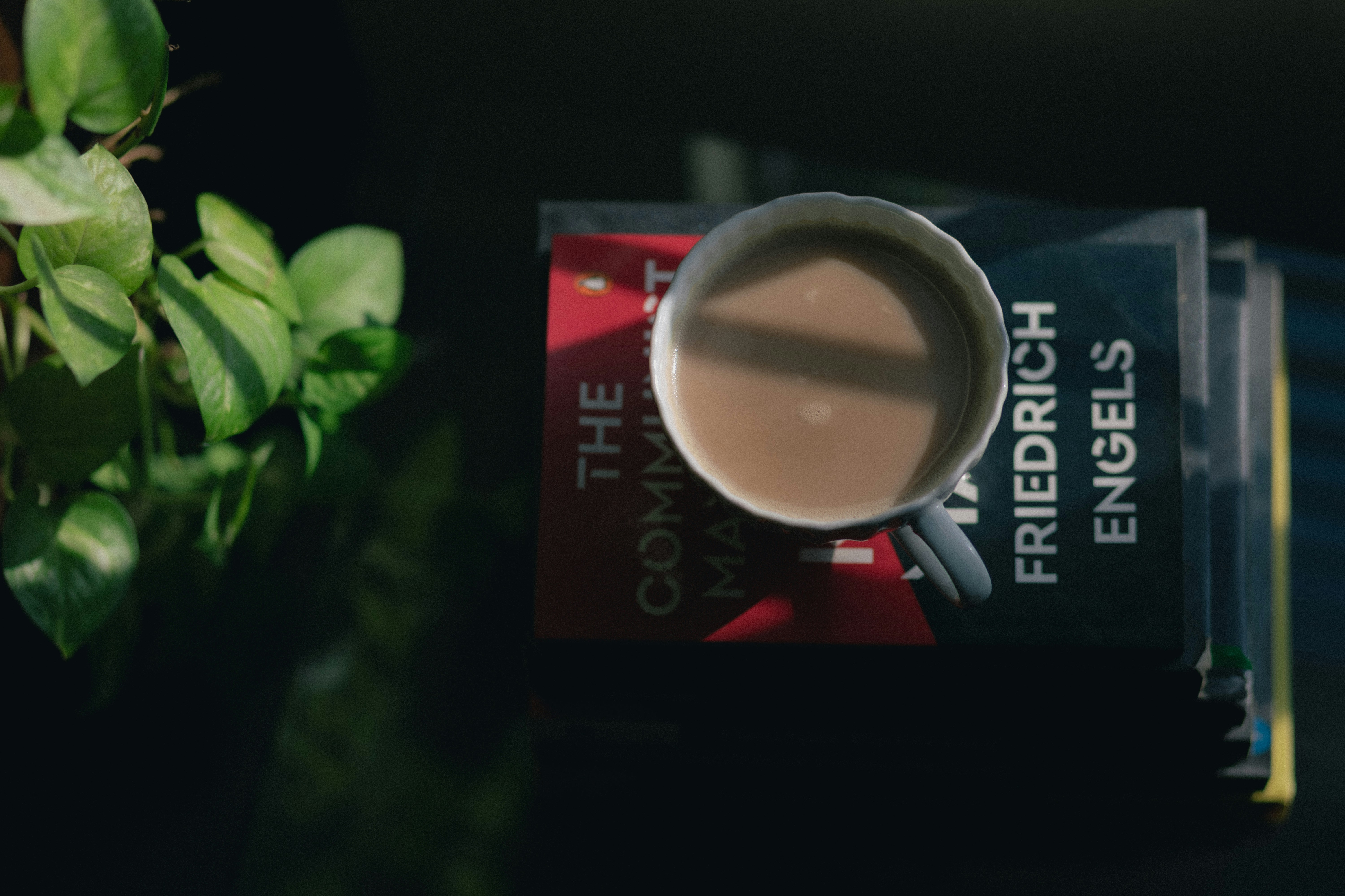 Cup of coffee on books next to books and plant