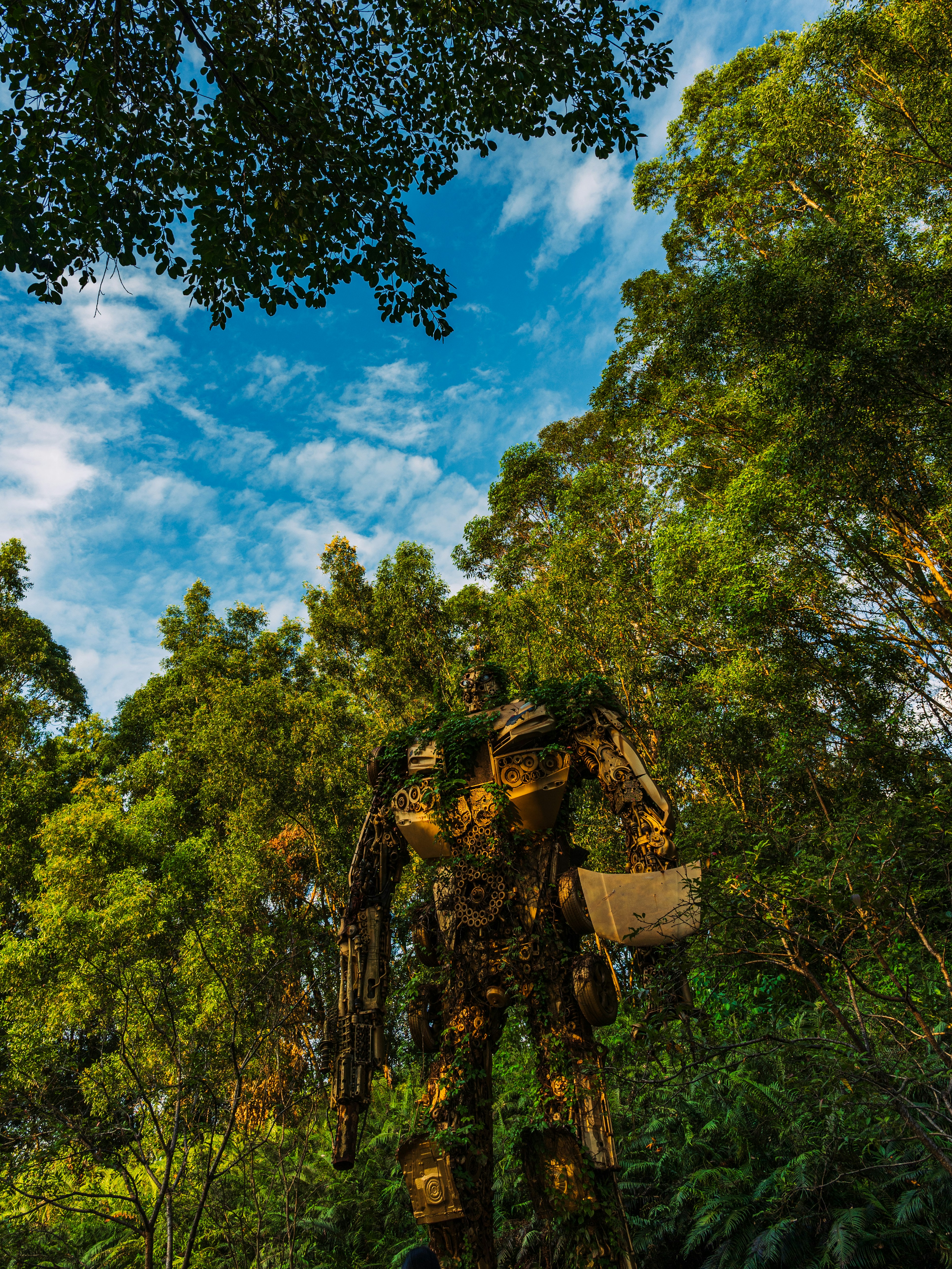 The Emerging Drone–Space Panopticon in India’s Northeast Frontier