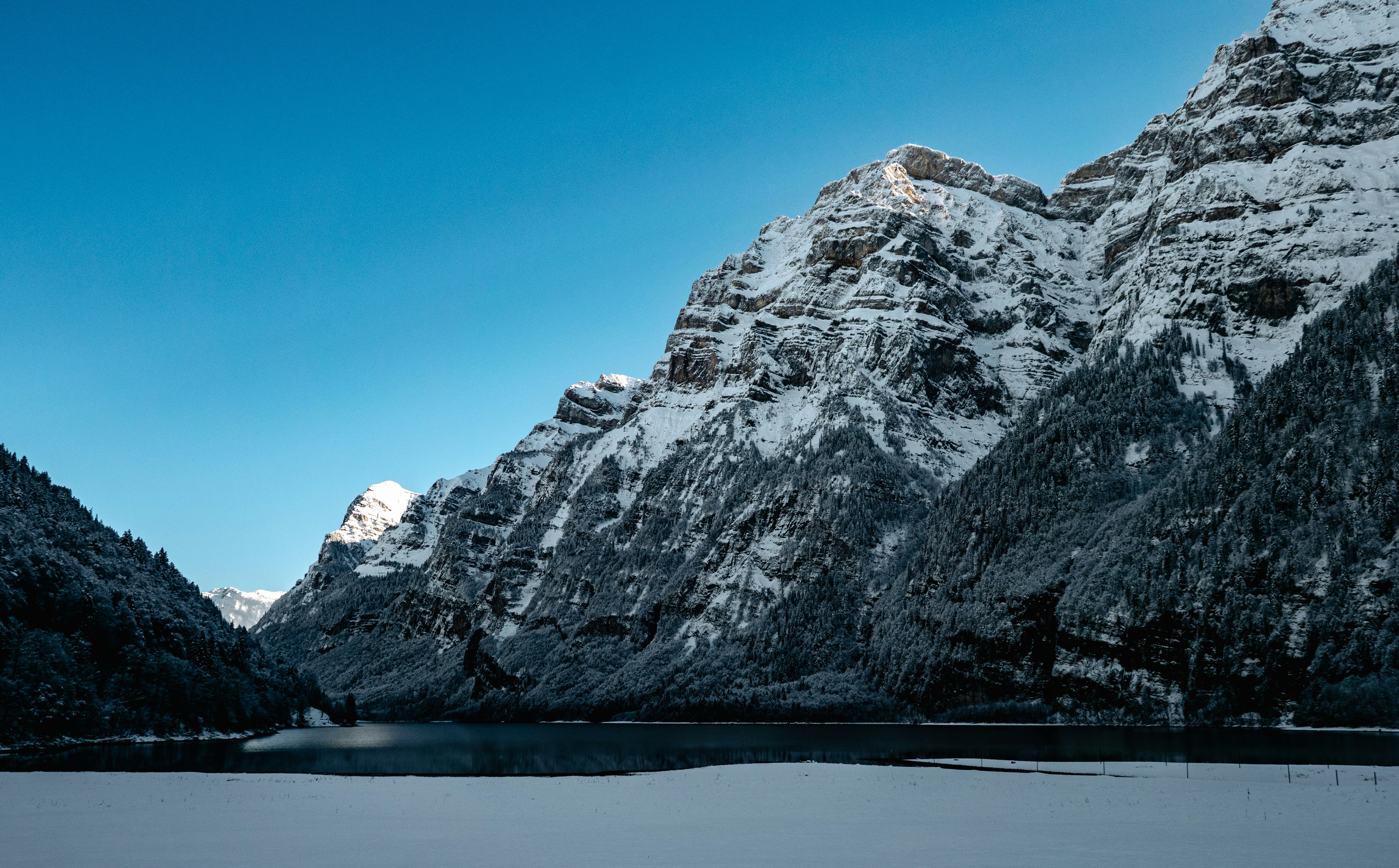 Photo by poli_graphy