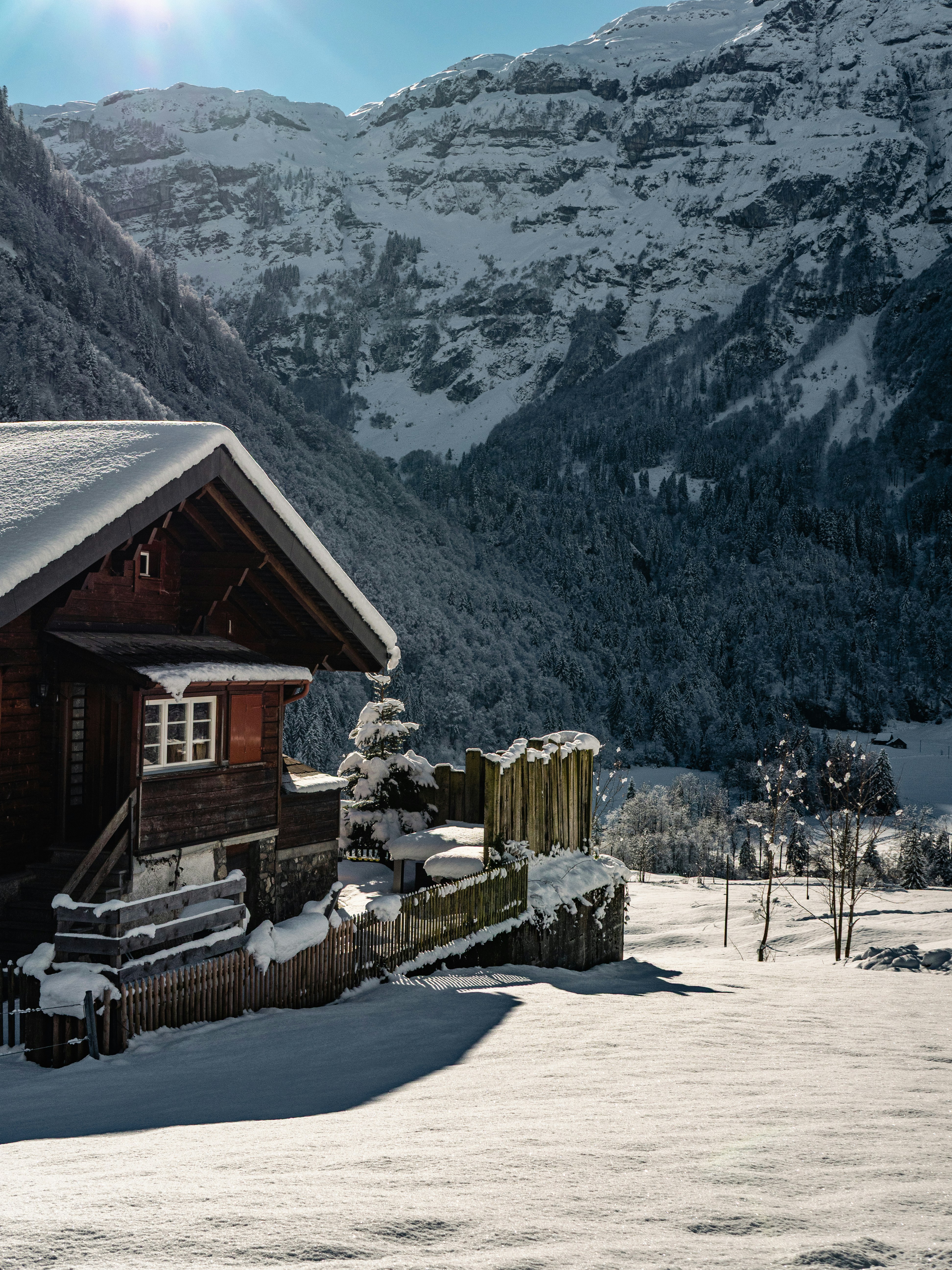 Photo by poli_graphy