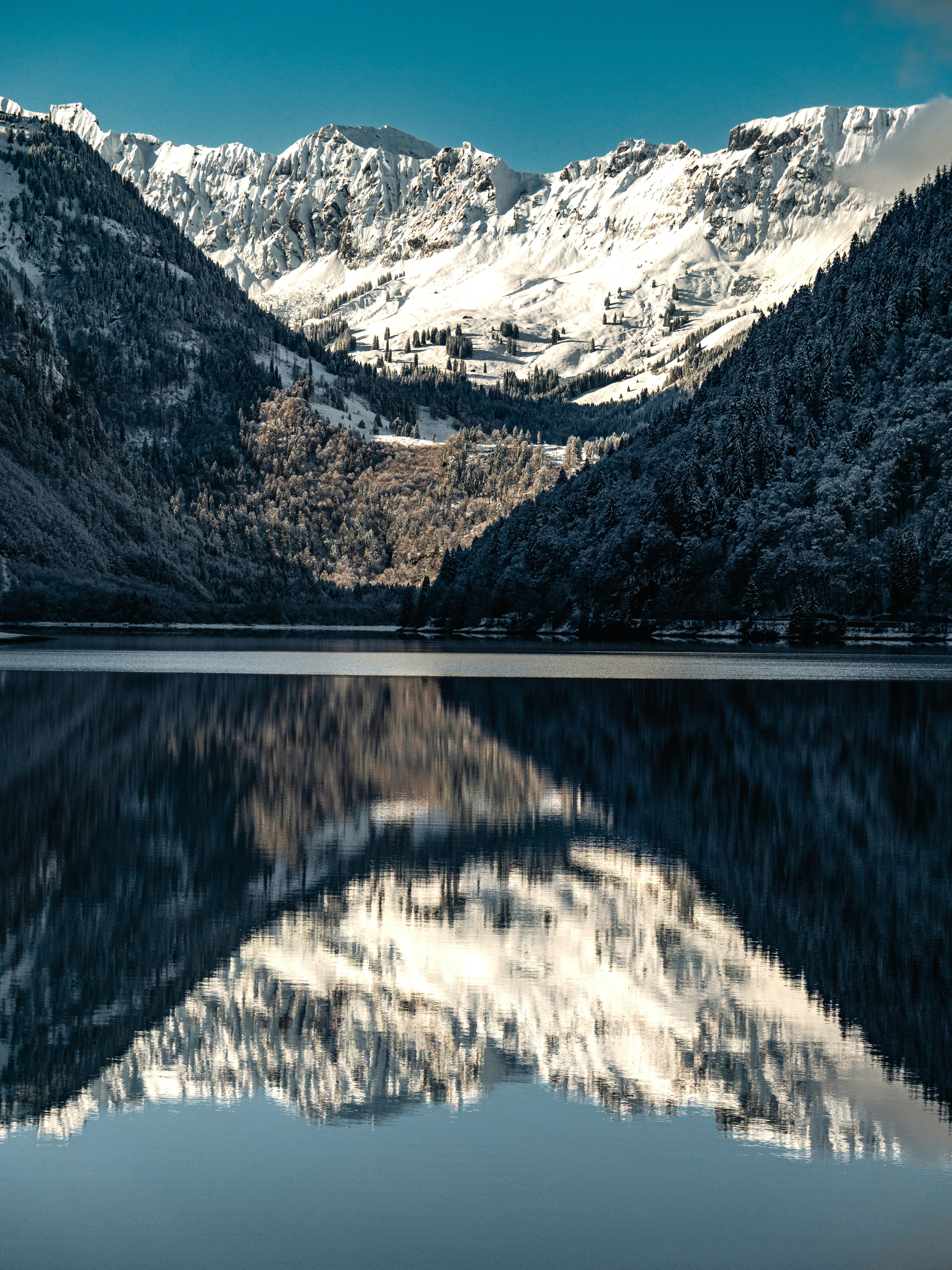 Photo by poli_graphy