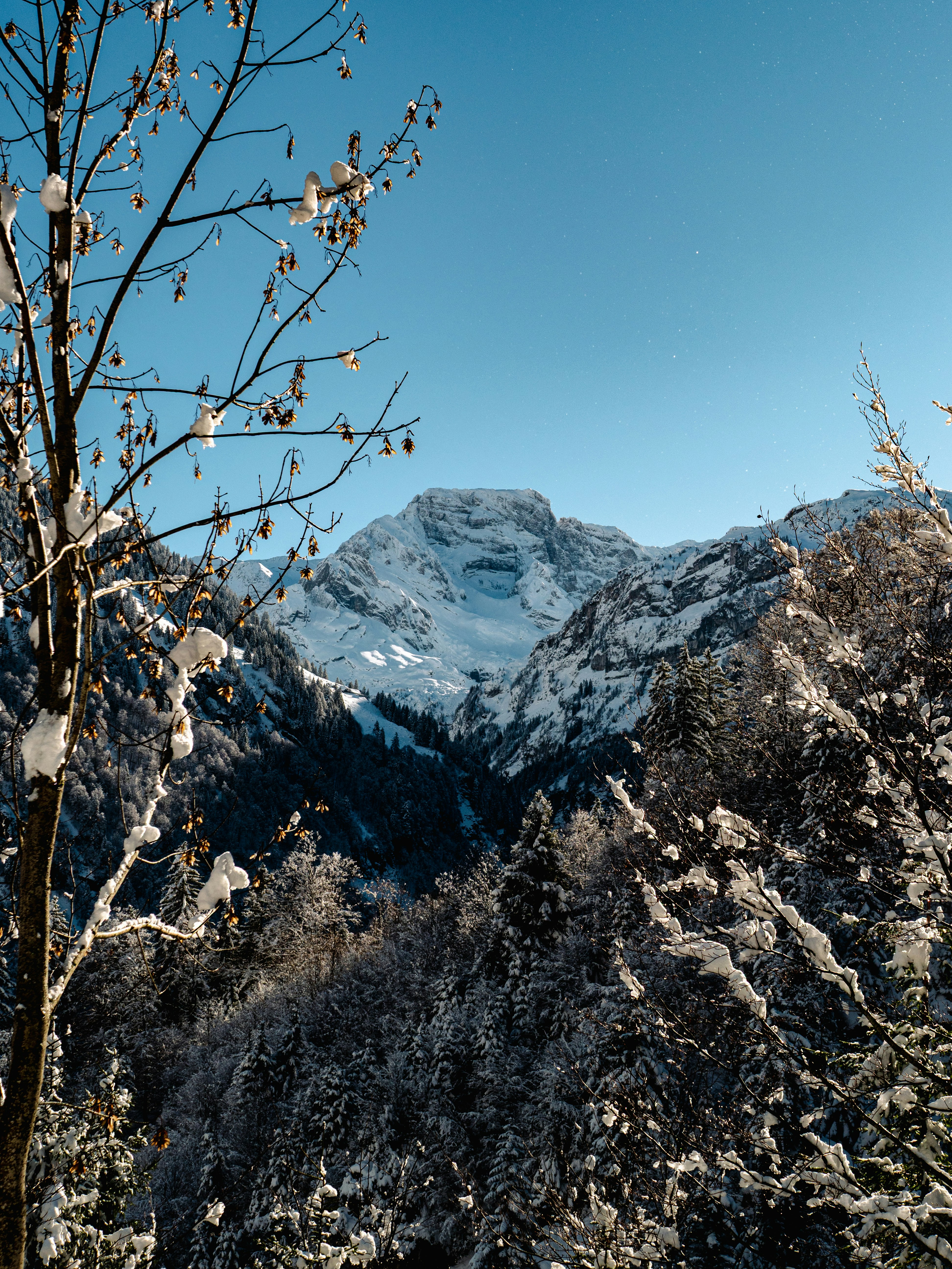 Photo by poli_graphy